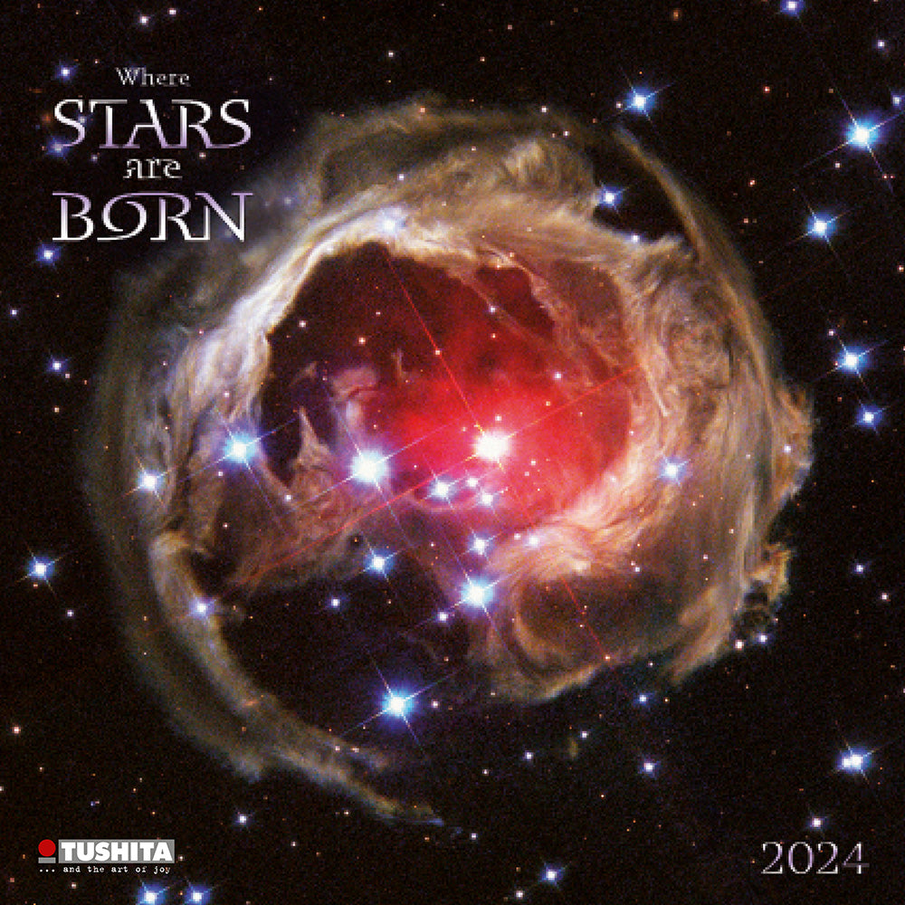 2024 Where Stars are Born - Square Wall Calendar  SOLD OUT