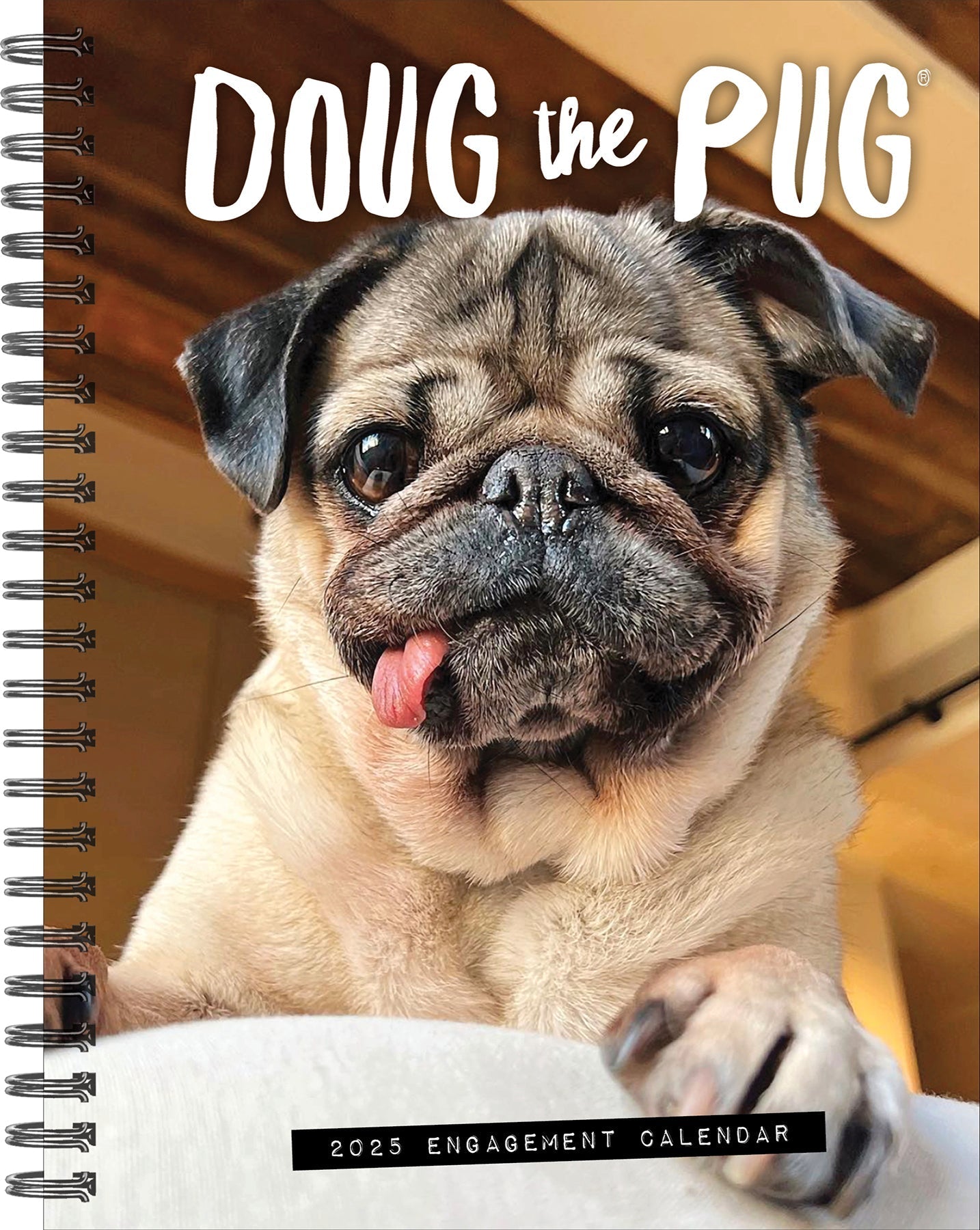 2025 Doug the Pug - Weekly Diary/Planner (US Only)