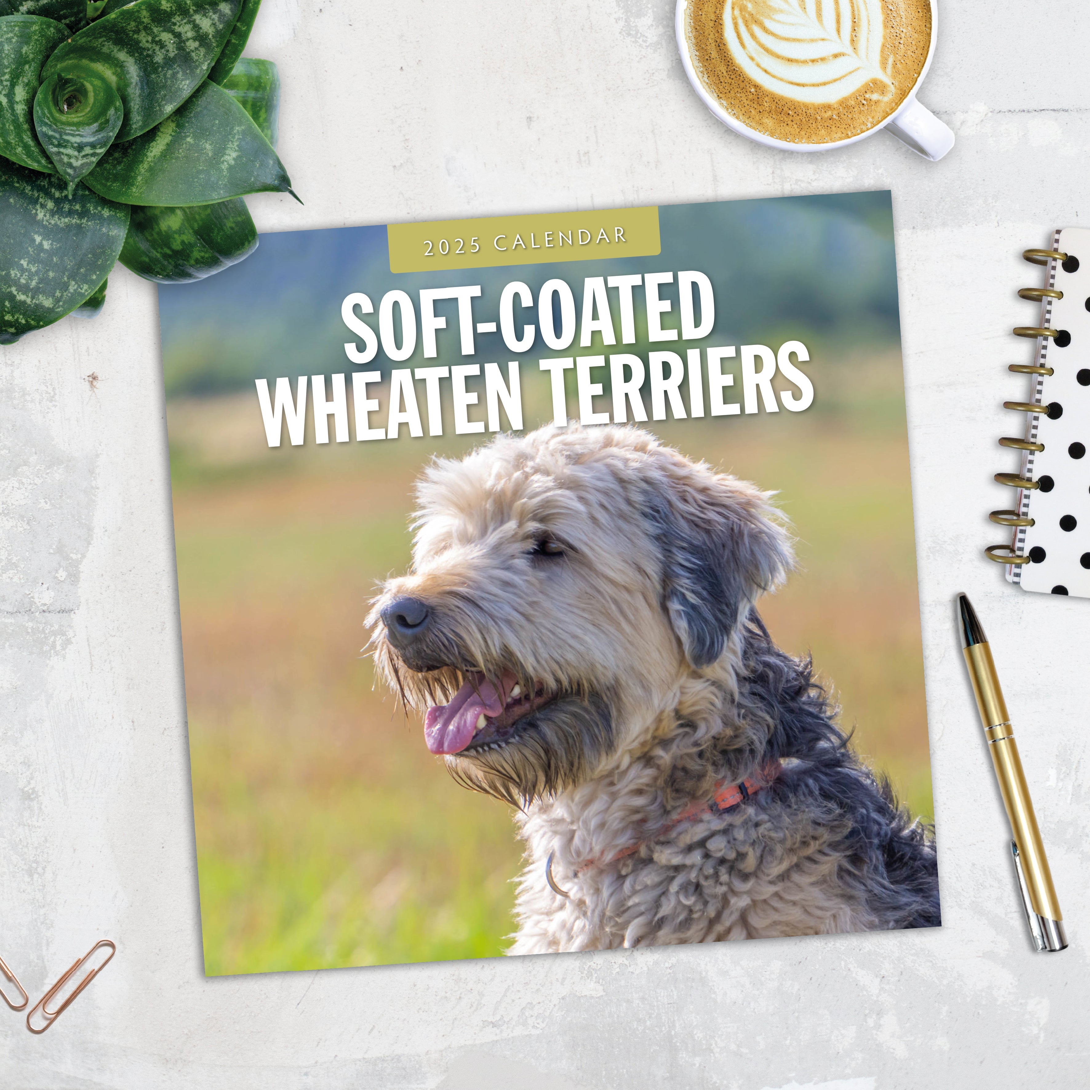 2025 Soft-Coated Wheaten Terriers - Square Wall Calendar