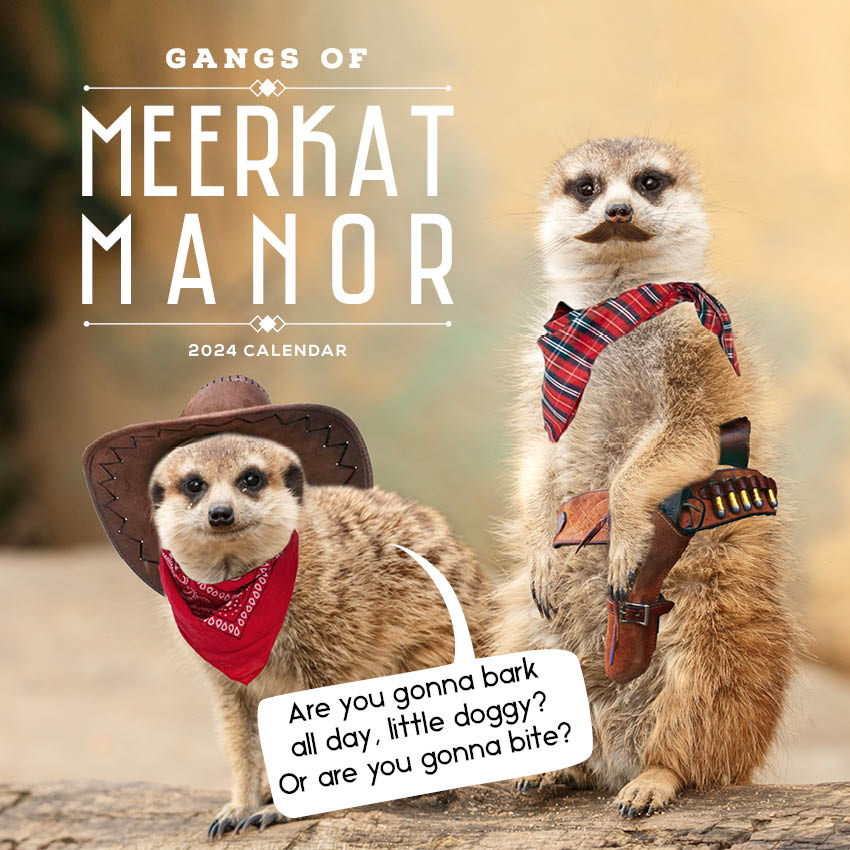 2024 Gangs Of Meerkat Manor - Square Wall Calendar