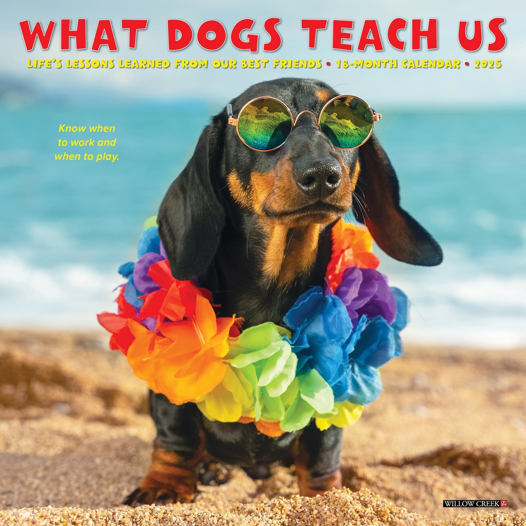 2025 What Dogs Teach Us - Mini Wall Calendar (US Only)