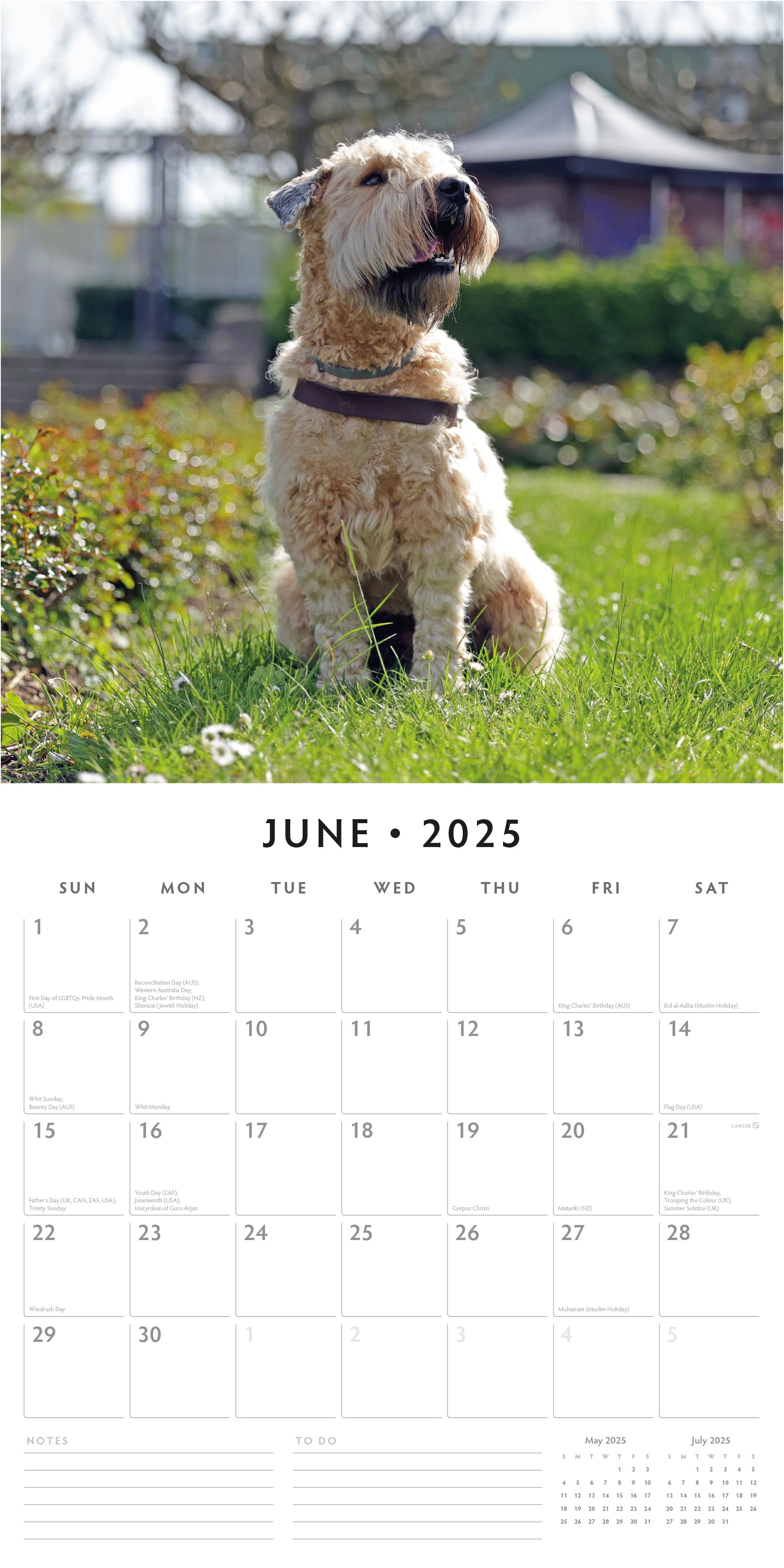 2025 Soft-Coated Wheaten Terriers - Square Wall Calendar