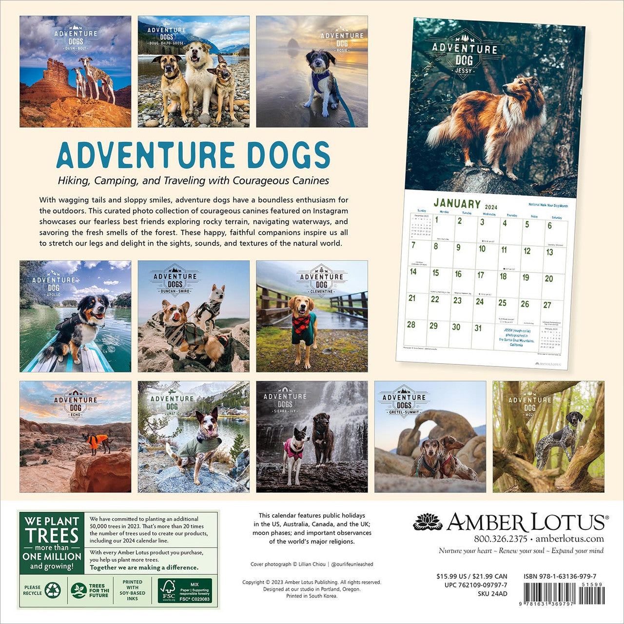 2024 Adventure Dogs - Square Wall Calendar  SOLD OUT