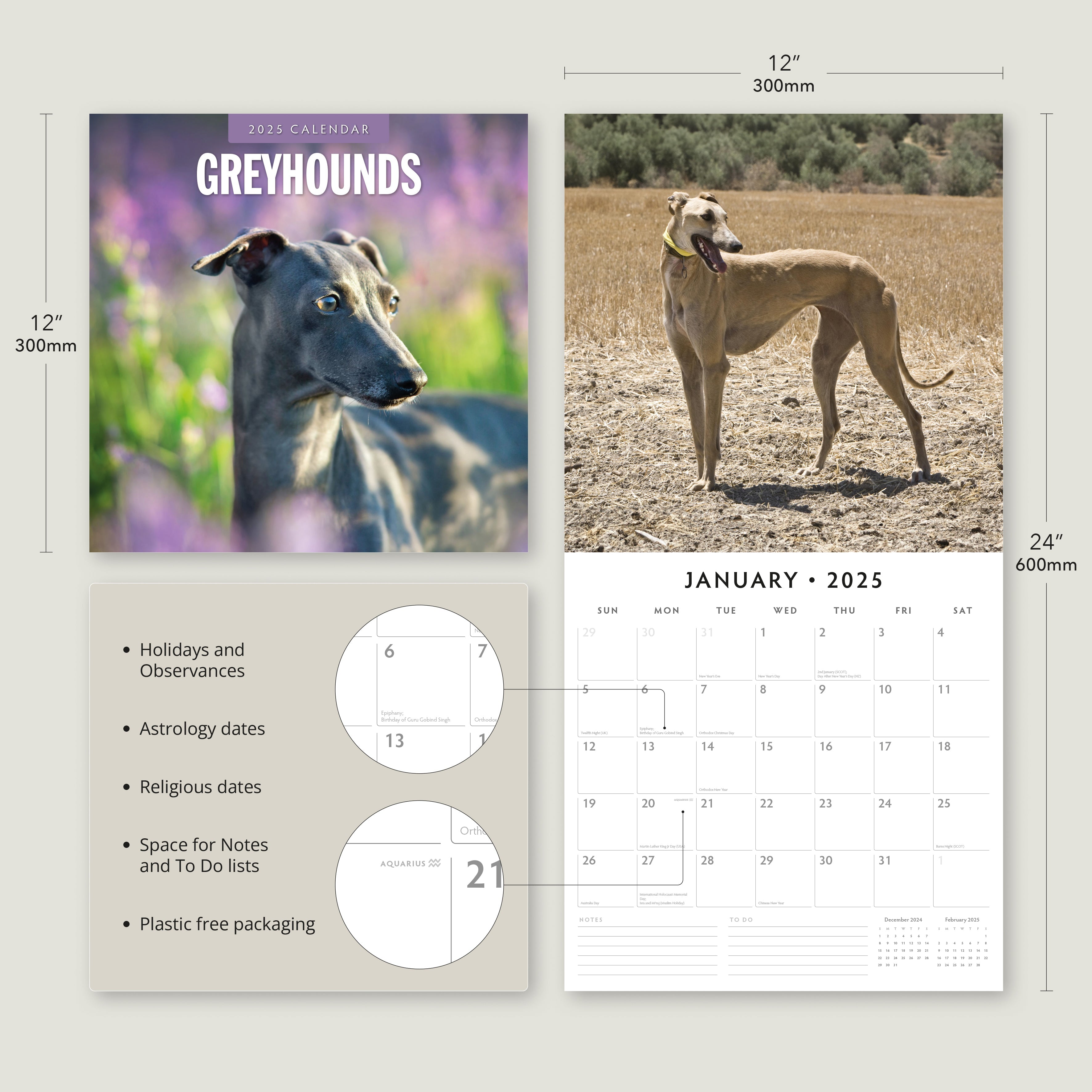 2025 Greyhounds - Square Wall Calendar