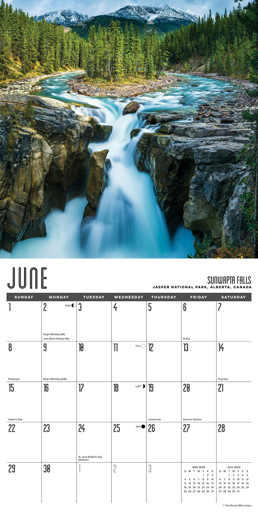 2025 Travel Junkie - Square Wall Calendar (US Only)