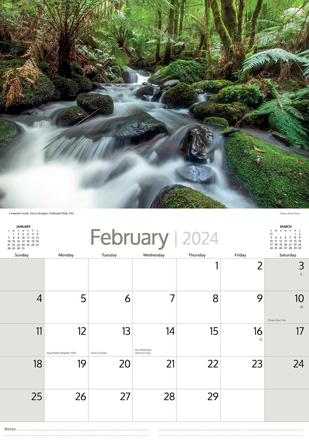 2024 Australian Rainforests (by Artique) - Horizontal Wall Calendar