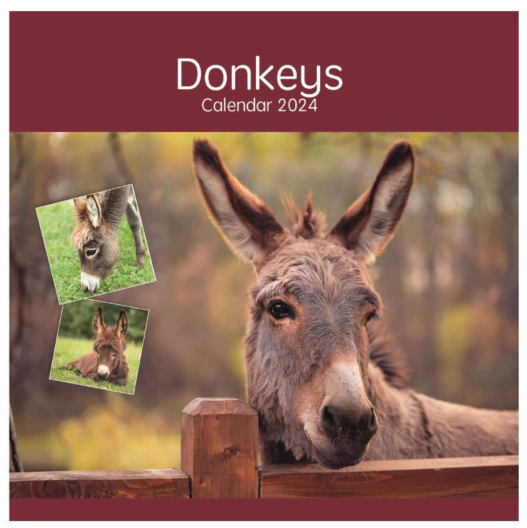 2024 Donkeys (by Tallon) - Square Wall Calendar