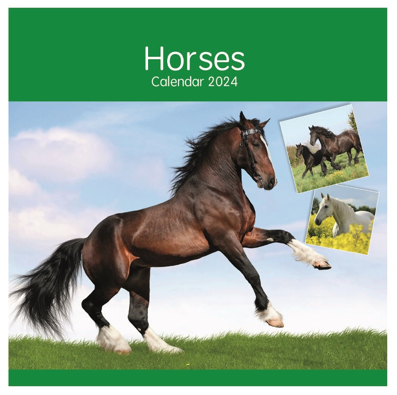 2024 Horses (by Tallon) - Square Wall Calendar  SOLD OUT