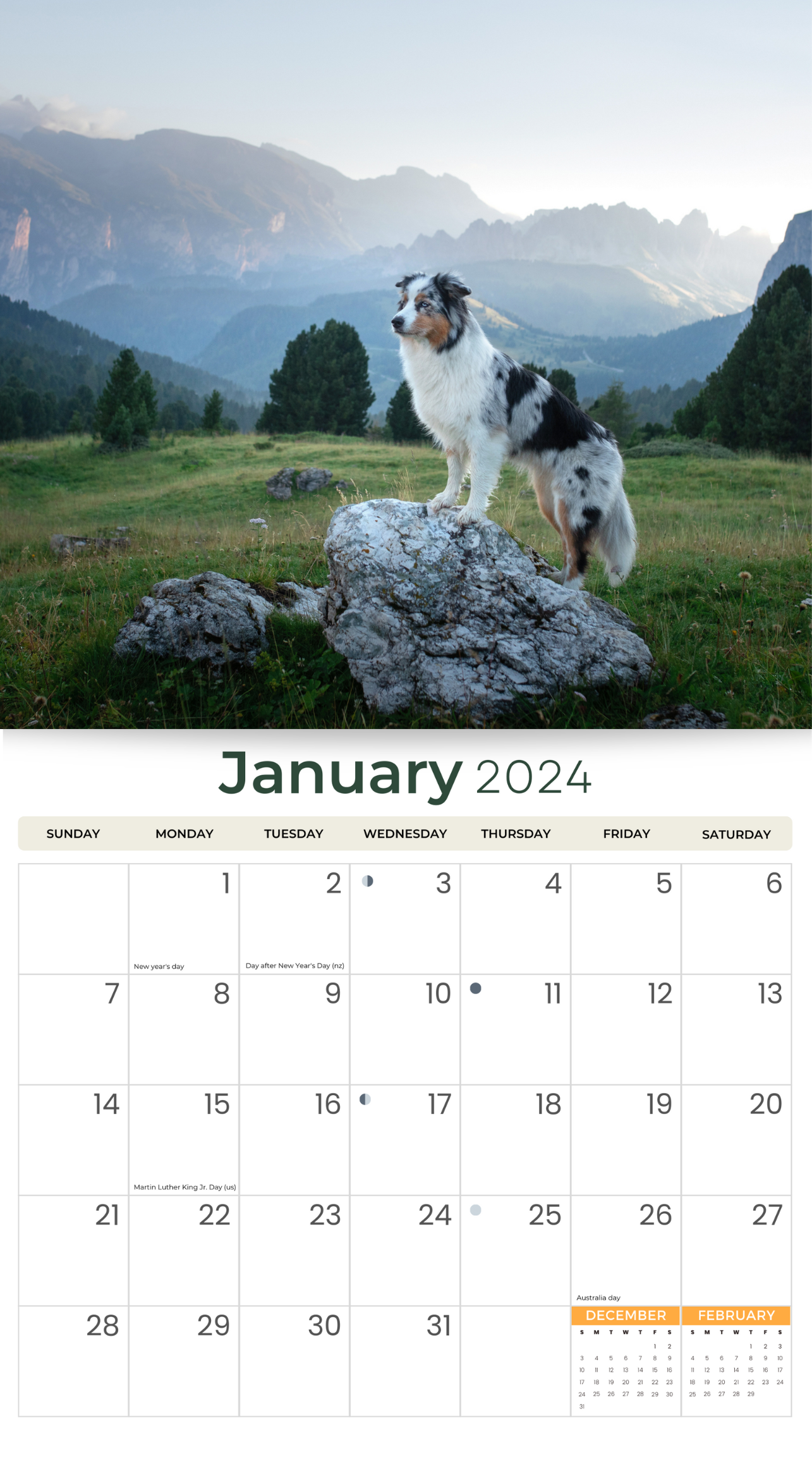 2024 Australian Shepherds Dogs & Puppies - Deluxe Wall Calendar by Just Calendars - 16 Month - Plastic Free