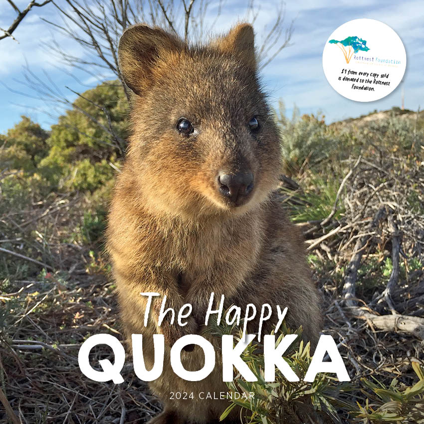 2024 The Happy Quokka (New for 2024) - Square Wall Calendar