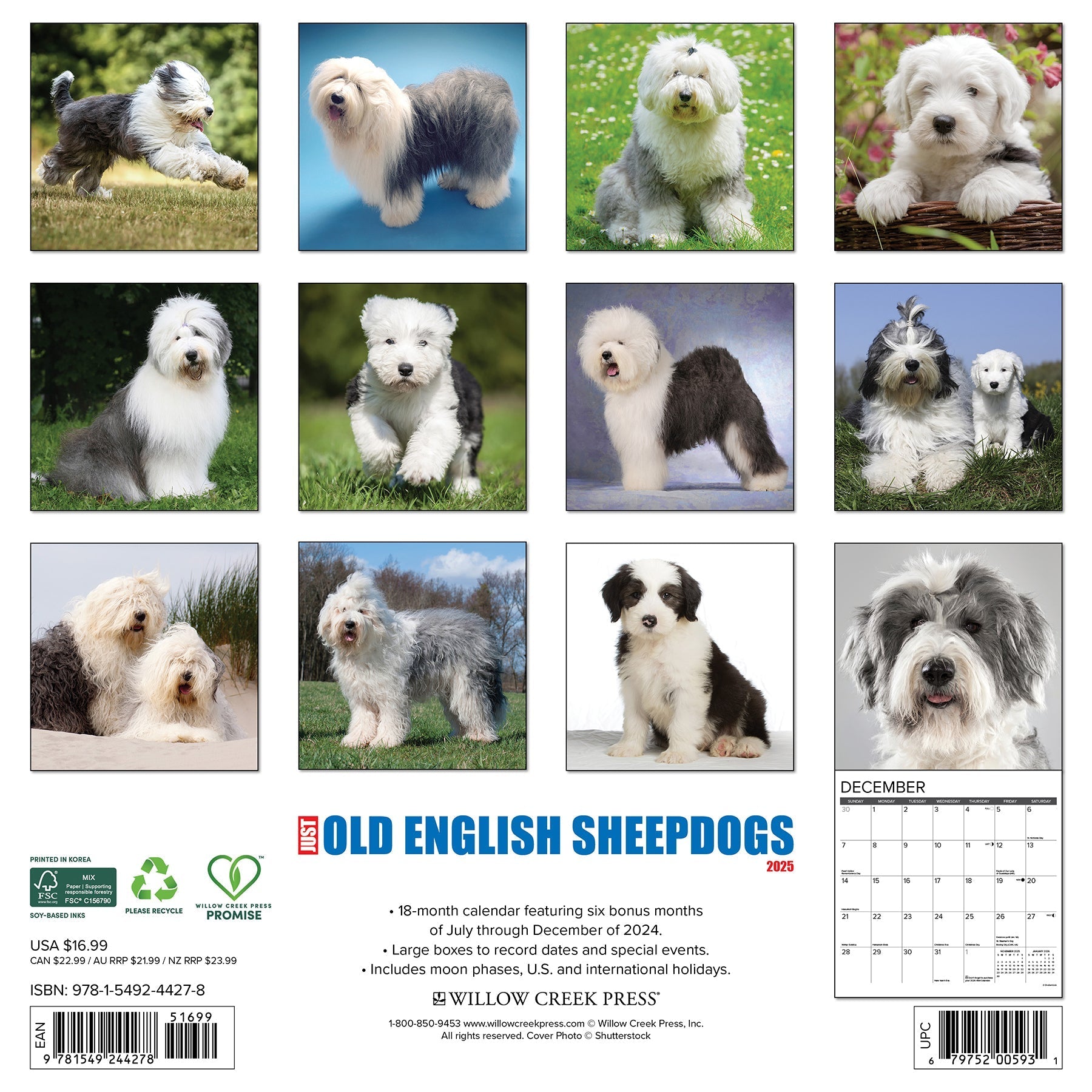 2025 Old English Sheepdogs - Square Wall Calendar (US Only)