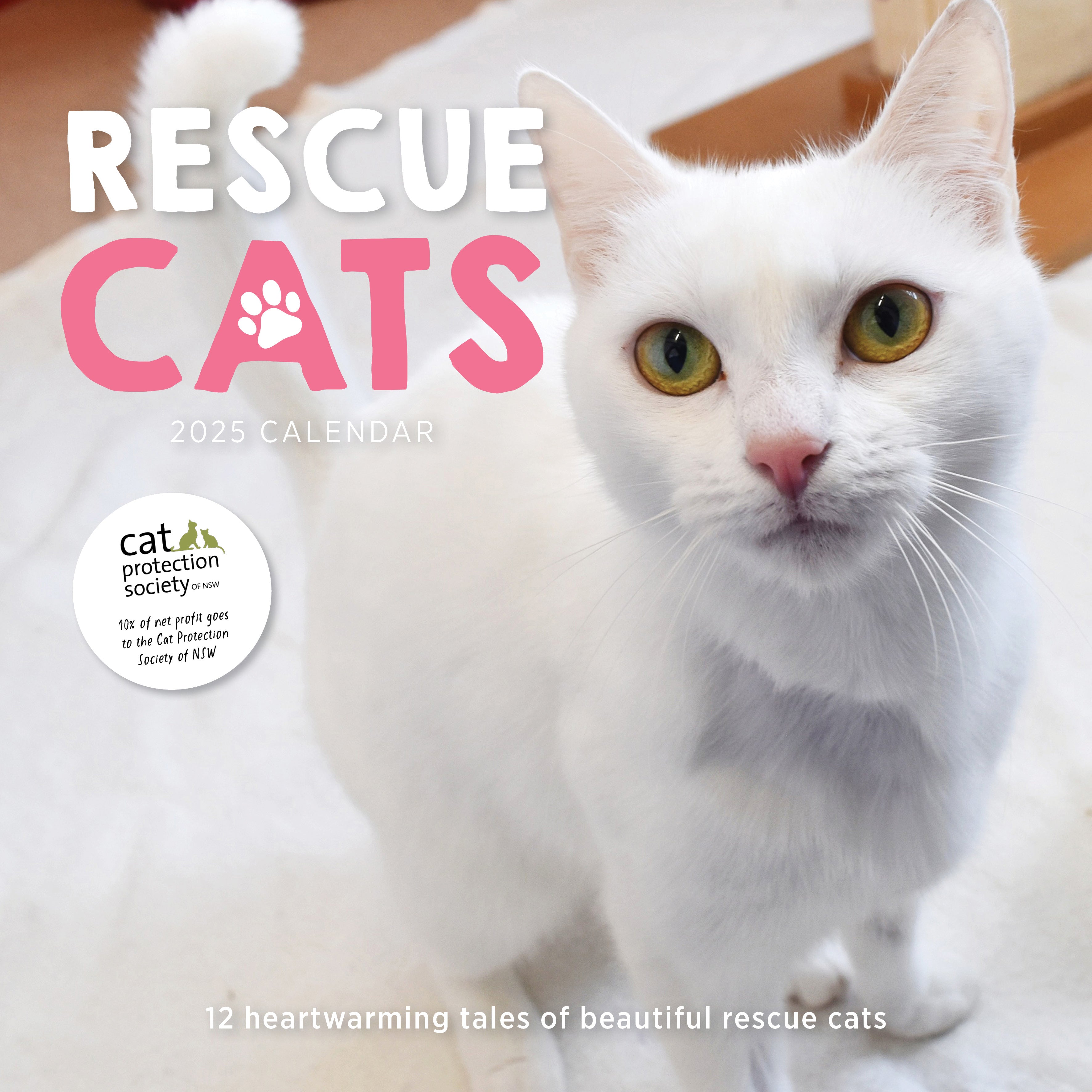 2025 Rescue Cats - Square Wall Calendar