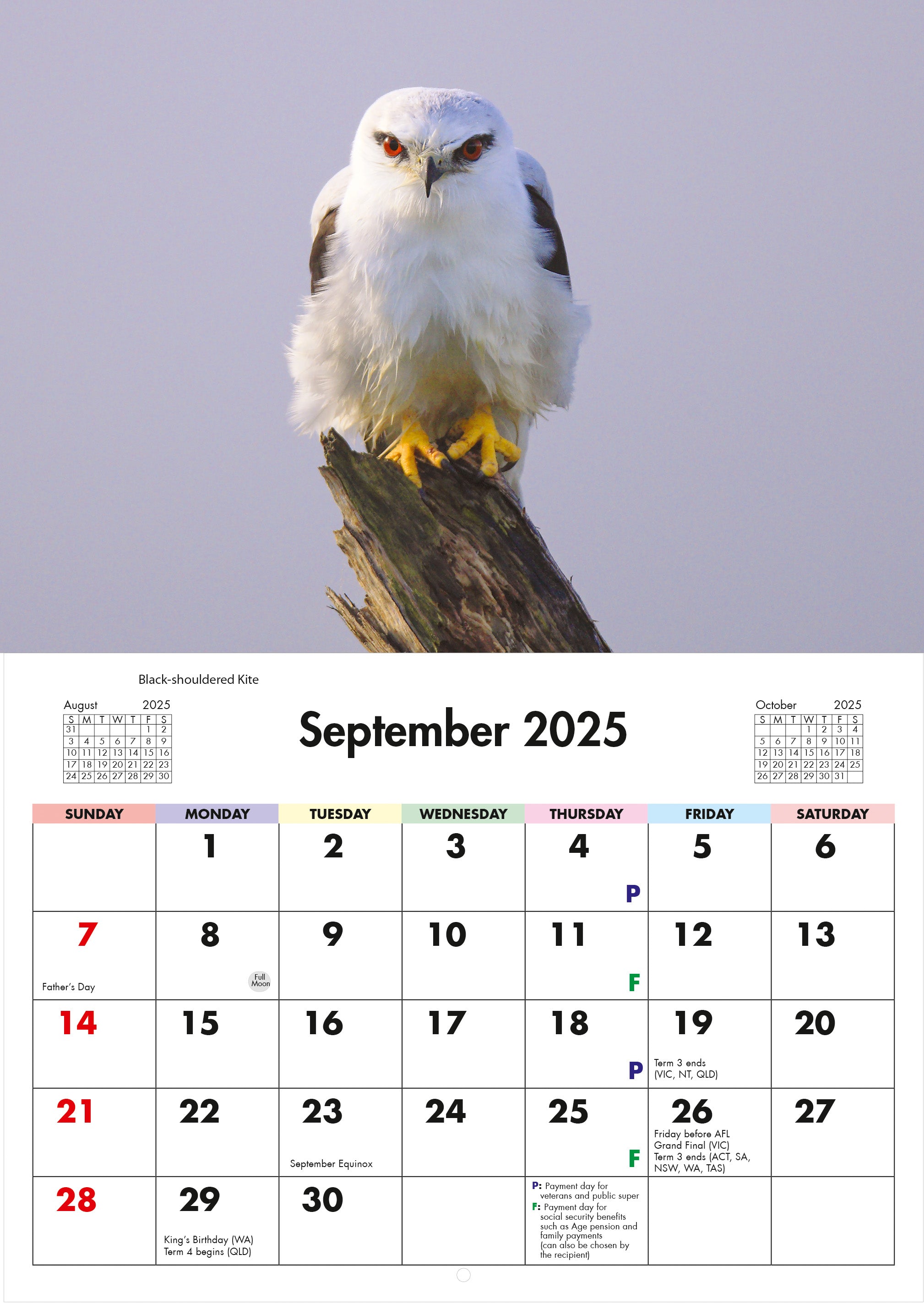 2025 Australian Birds - Horizontal Wall Calendar