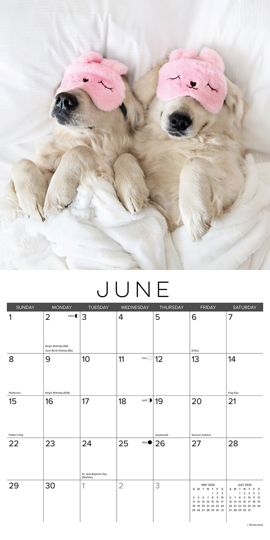 2025 Naptime: Dogs & Puppies on their Best Behavior - Square Wall Calendar (US Only)