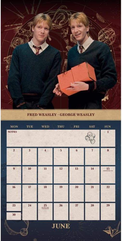 2025 Harry Potter - Calendar & Diary Gift Box Set