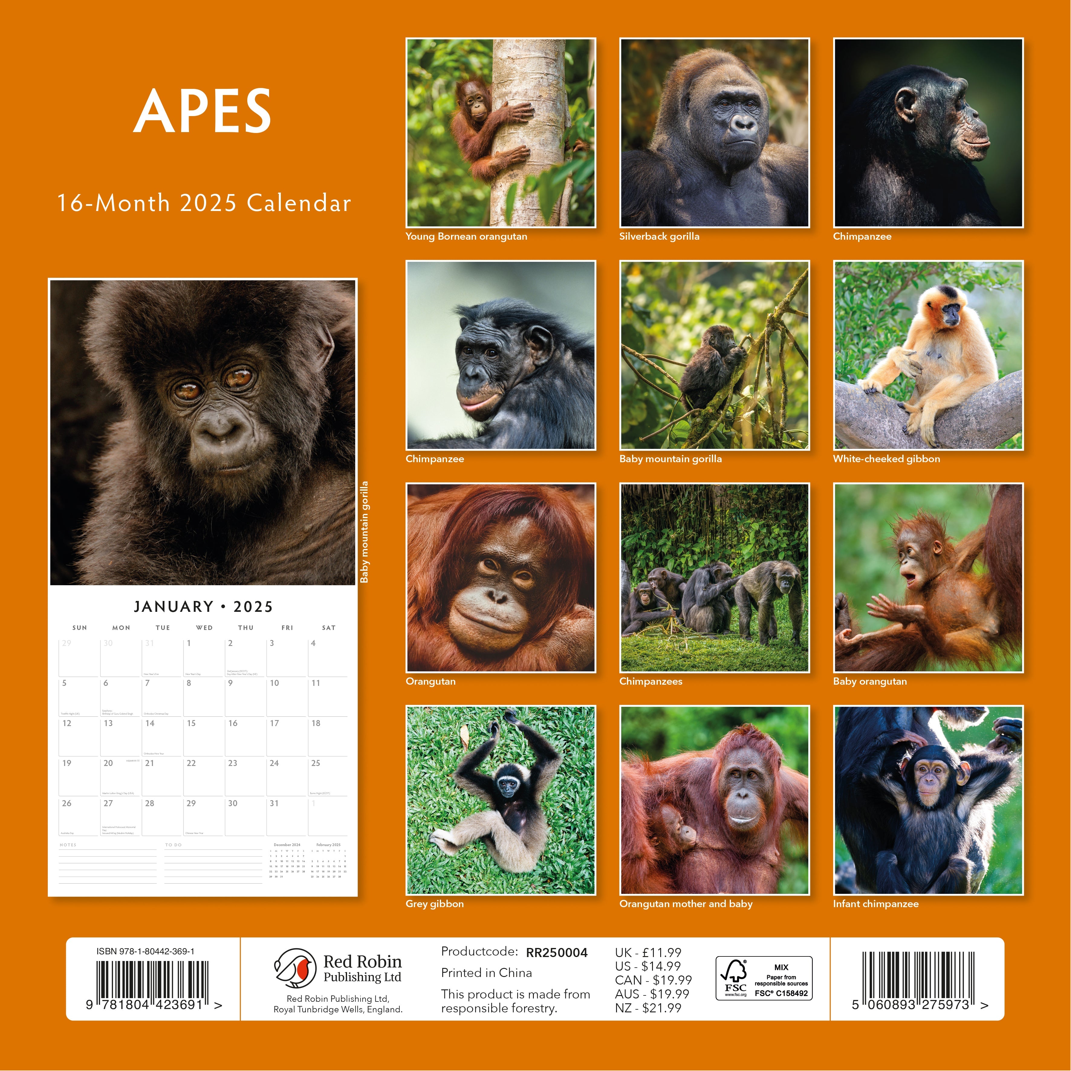 2025 Apes - Square Wall Calendar