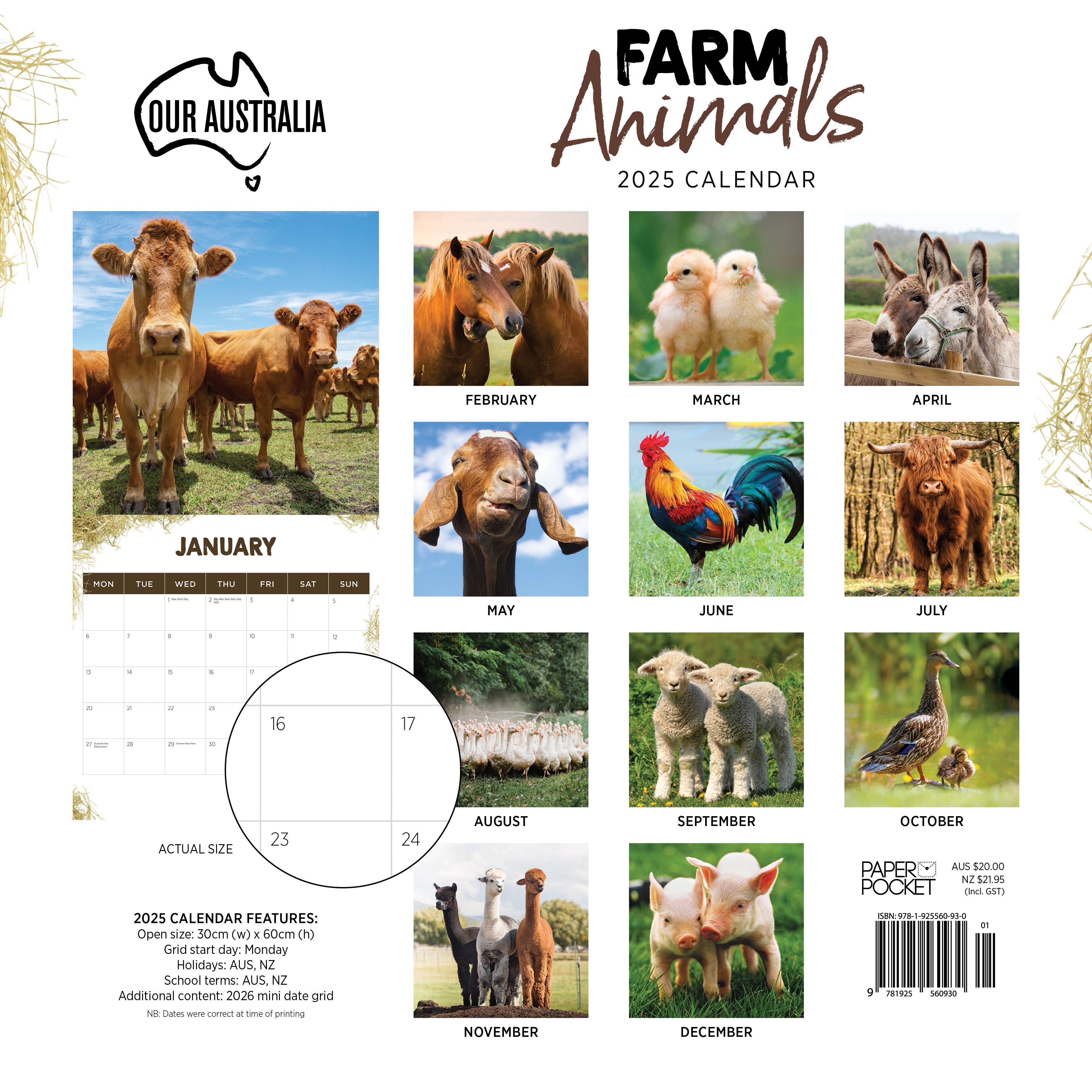 2025 Our Australia Farm Animals - Square Wall Calendar