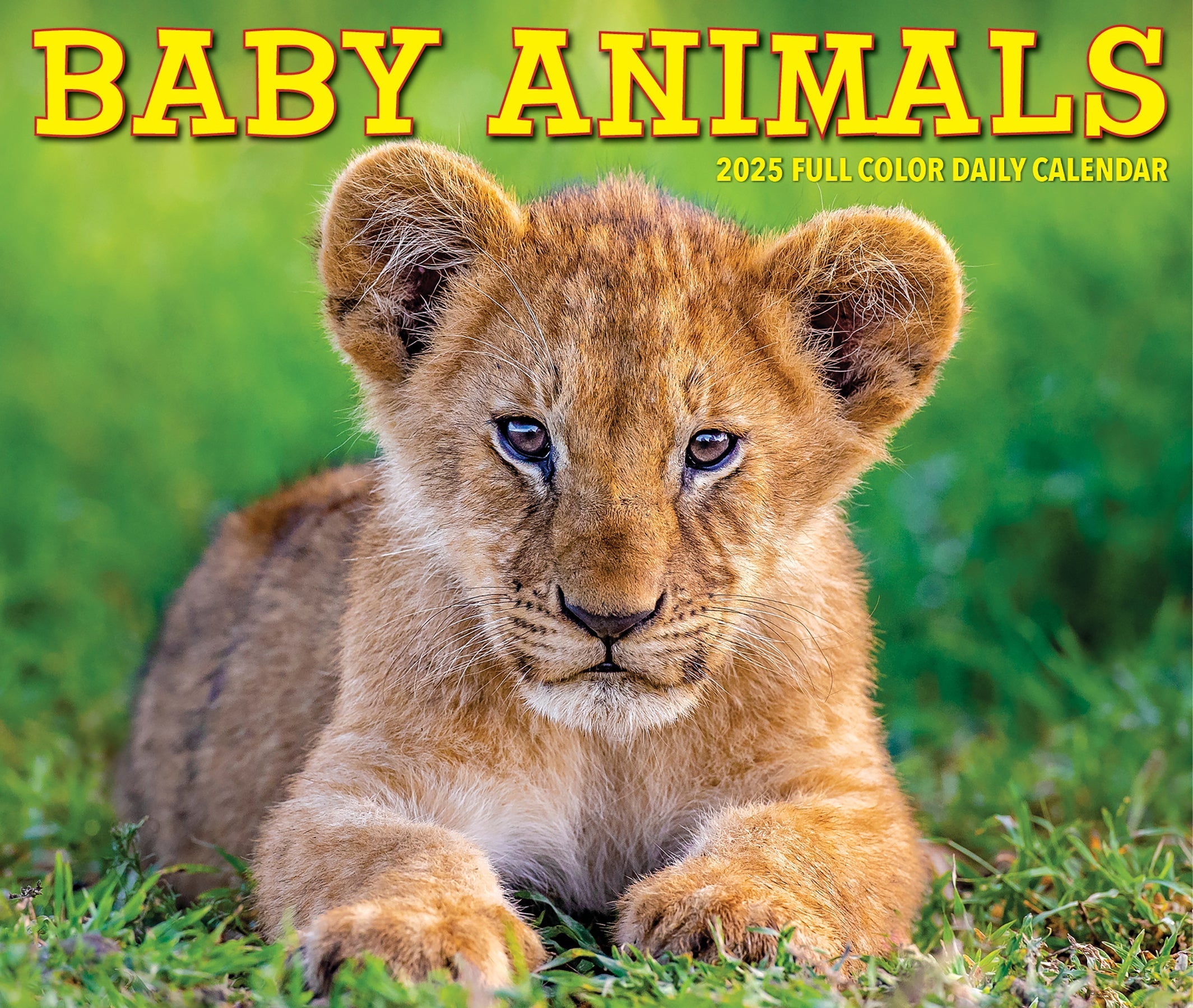 2025 Baby Animals - Daily Boxed Page-A-Day Calendar (US Only)