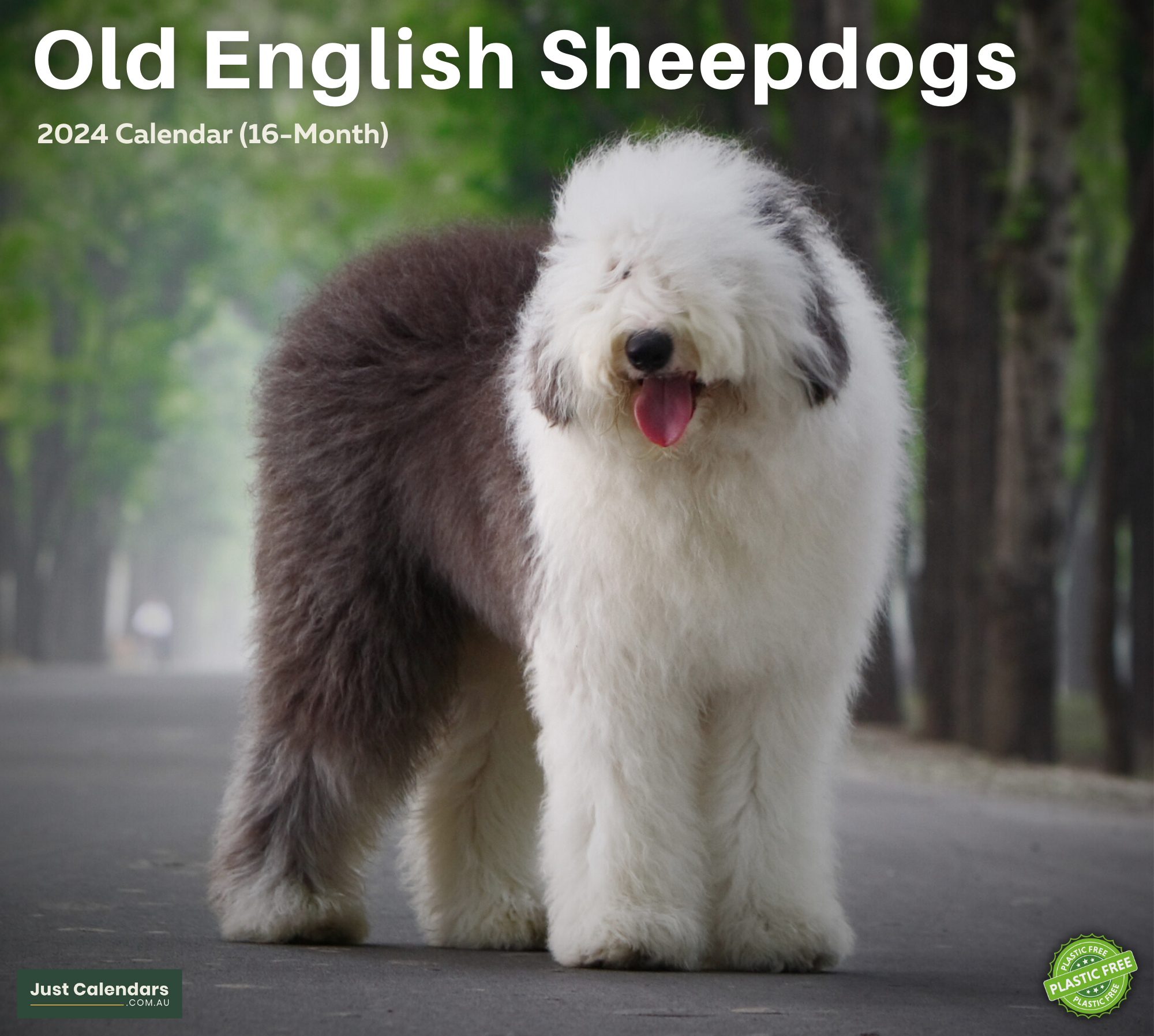 2024 Old English Sheepdogs Dogs & Puppies - Deluxe Wall Calendar by Just Calendars - 16 Month - Plastic Free