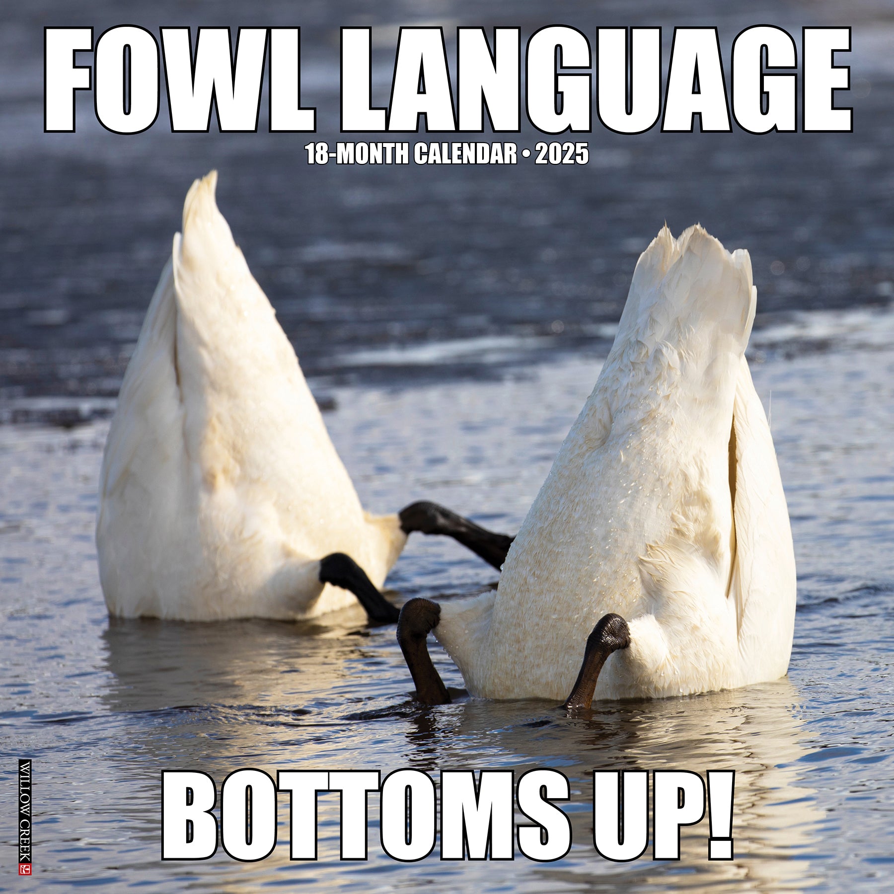 2025 Fowl Language - Square Wall Calendar (US Only)