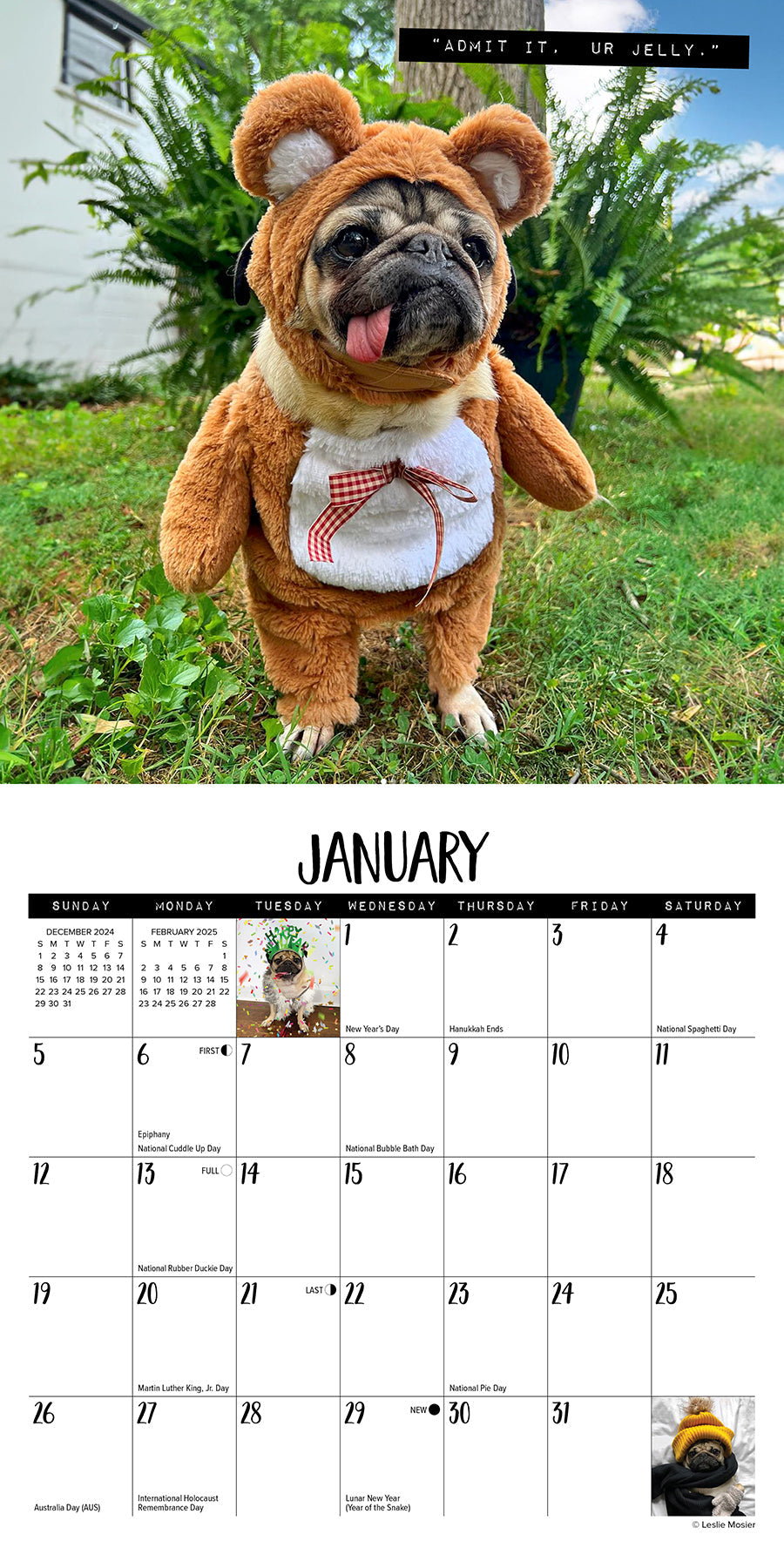 2025 Doug the Pug - Mini Wall Calendar (US Only)