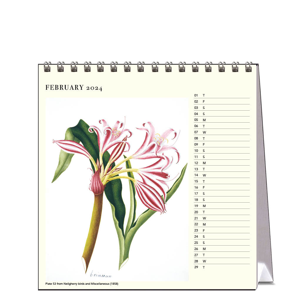 2024 Flowers - Margaret Cockburn - Desk Easel Calendar