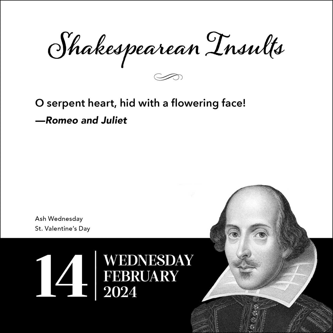 2024 Shakespearean Insults - Daily Boxed Page-A-Day Calendar