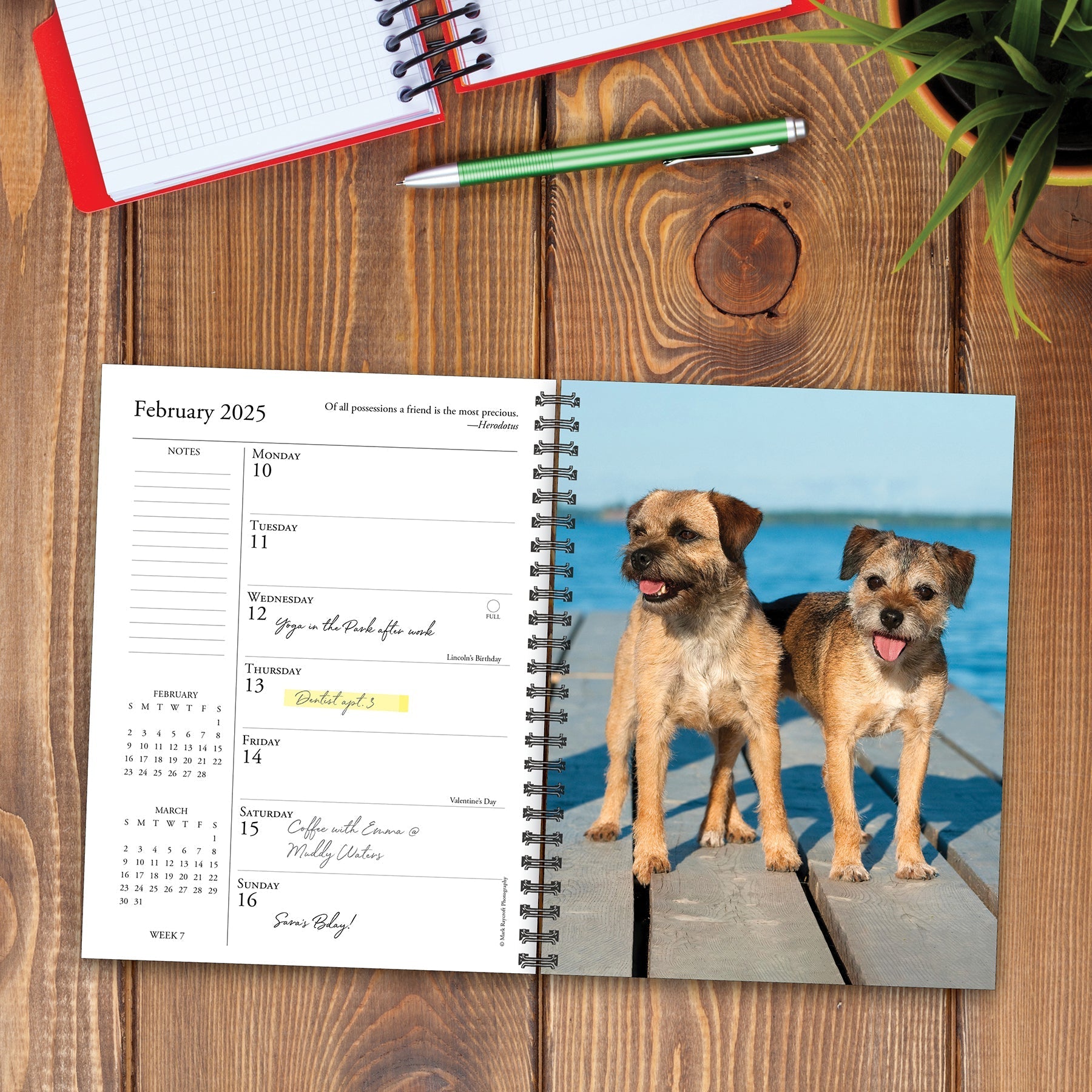 2025 What Dogs Teach Us - Weekly Diary/Planner (US Only)