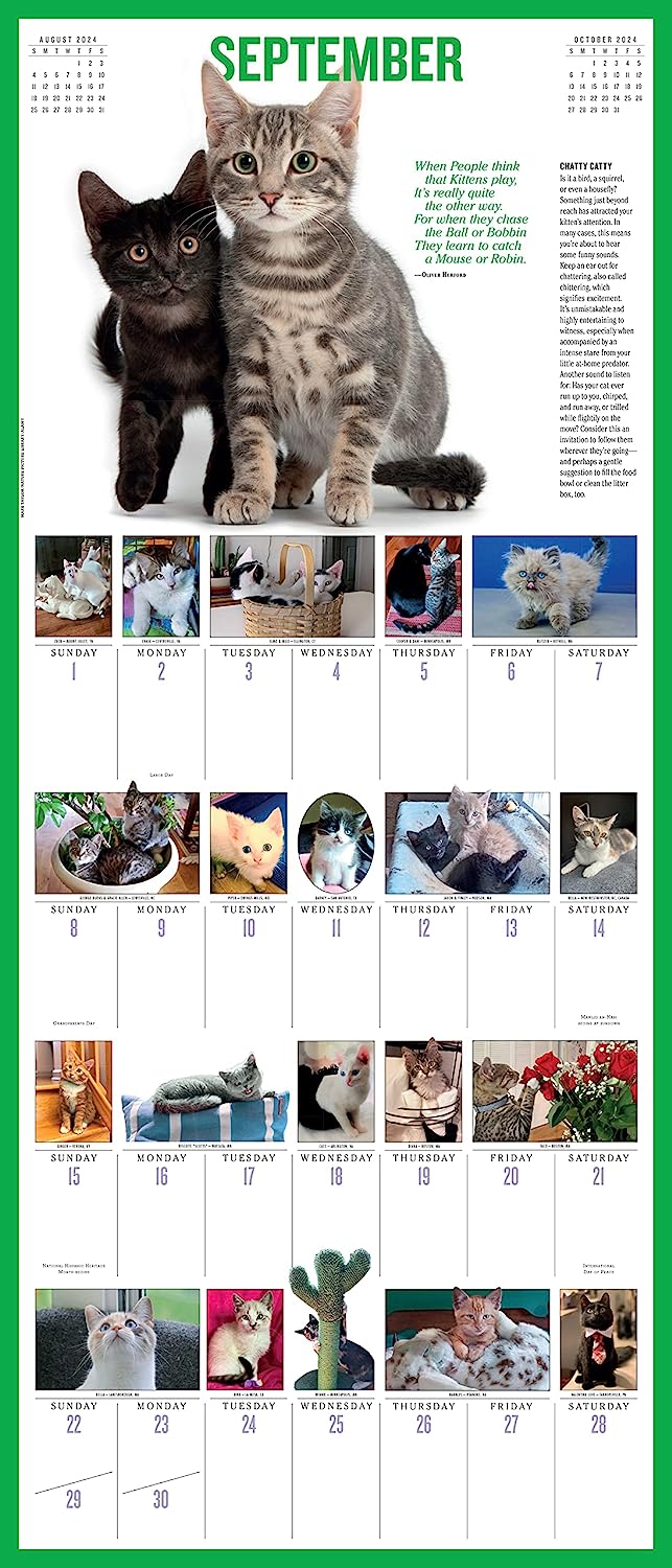 2024 365 Kittens-A-Year - Deluxe Wall Calendar  SOLD OUT