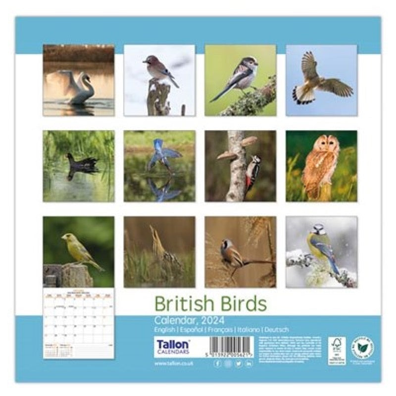 2024 British Birds - Square Wall Calendar