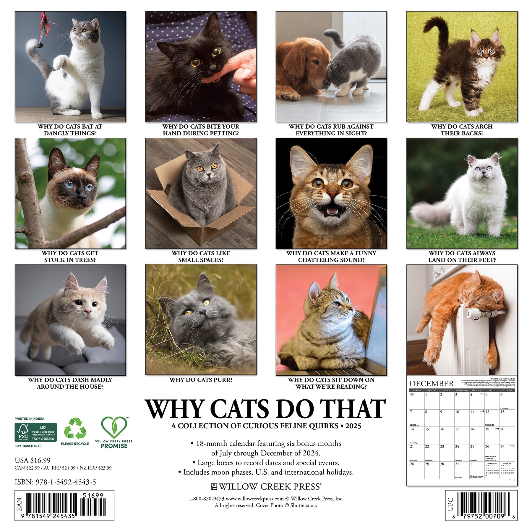 2025 Why Cats Do That - Square Wall Calendar (US Only)