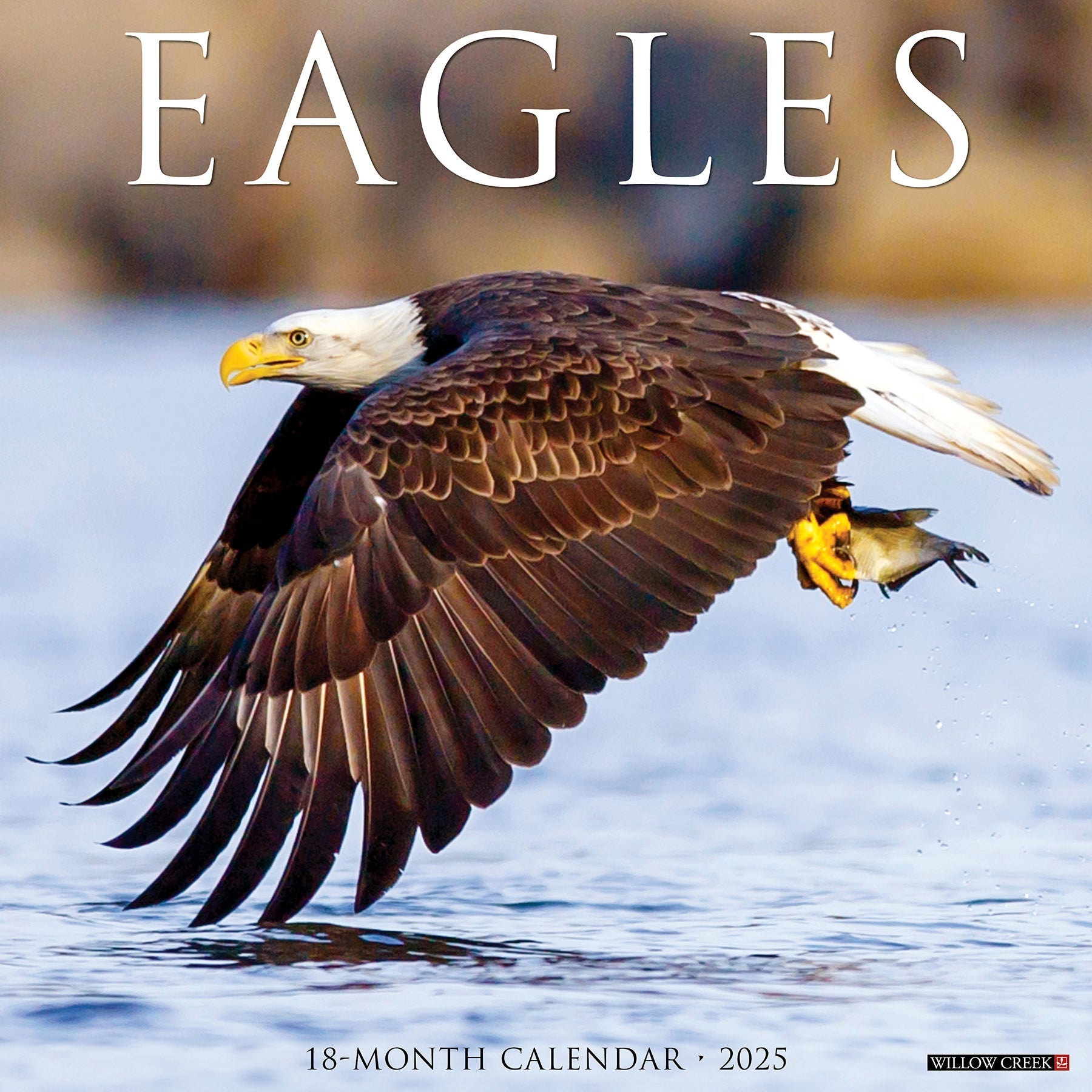 2025 Eagles - Square Wall Calendar (US Only)