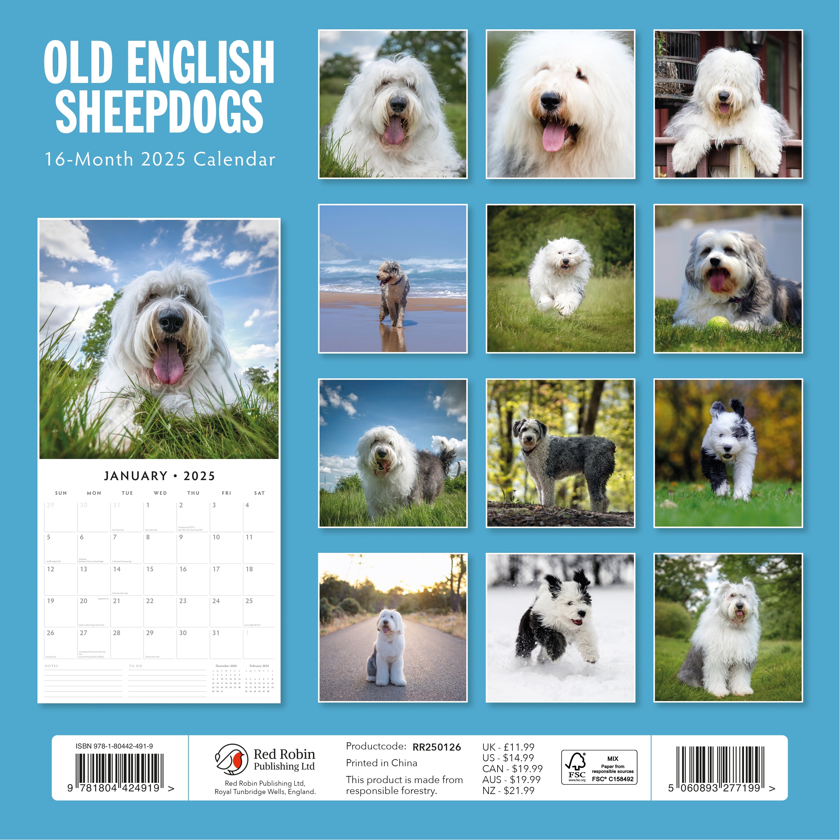 2025 Old English Sheepdogs - Square Wall Calendar