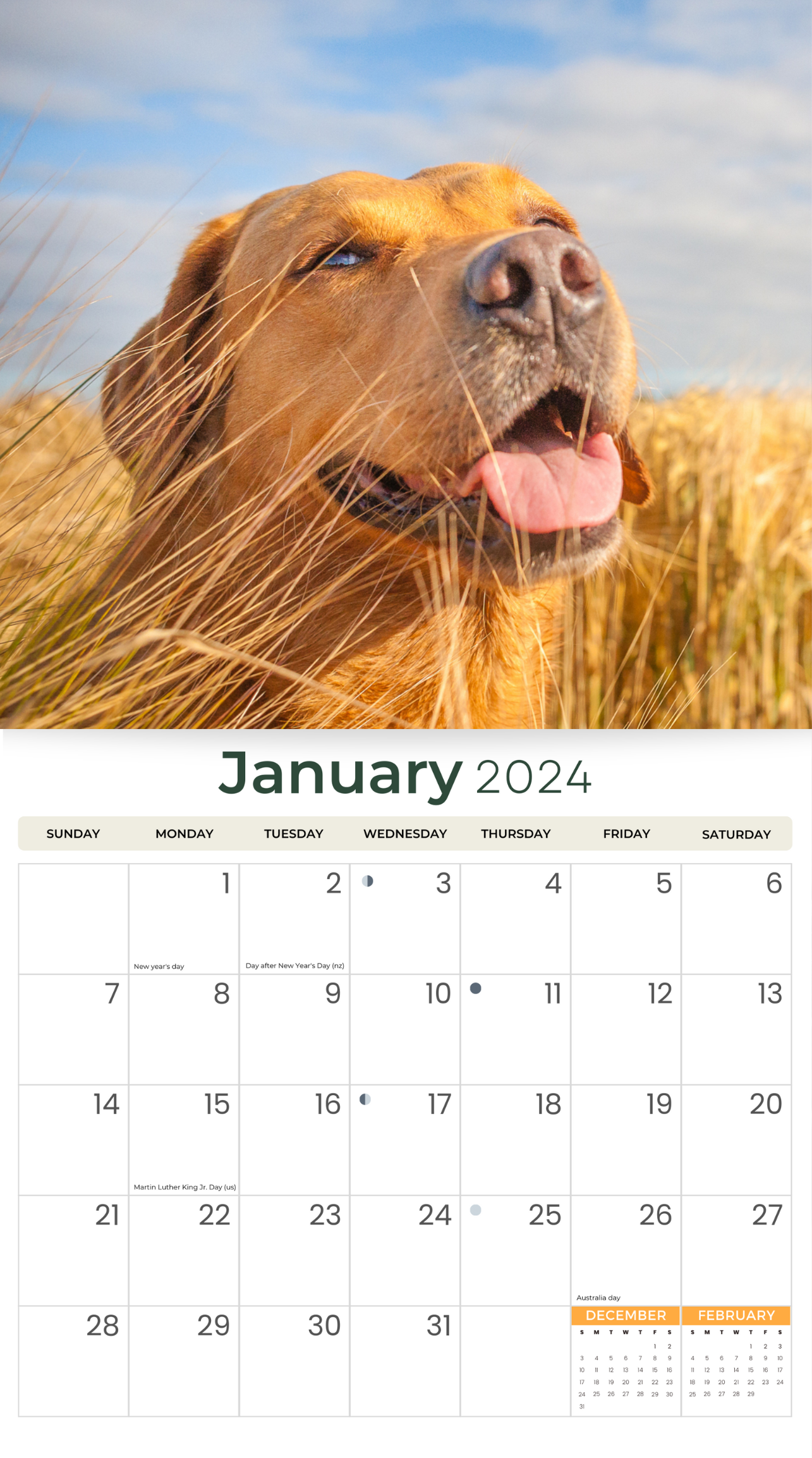 2024 Labrador Retrievers Dogs & Puppies - Deluxe Wall Calendar by Just Calendars - 16 Month - Plastic Free