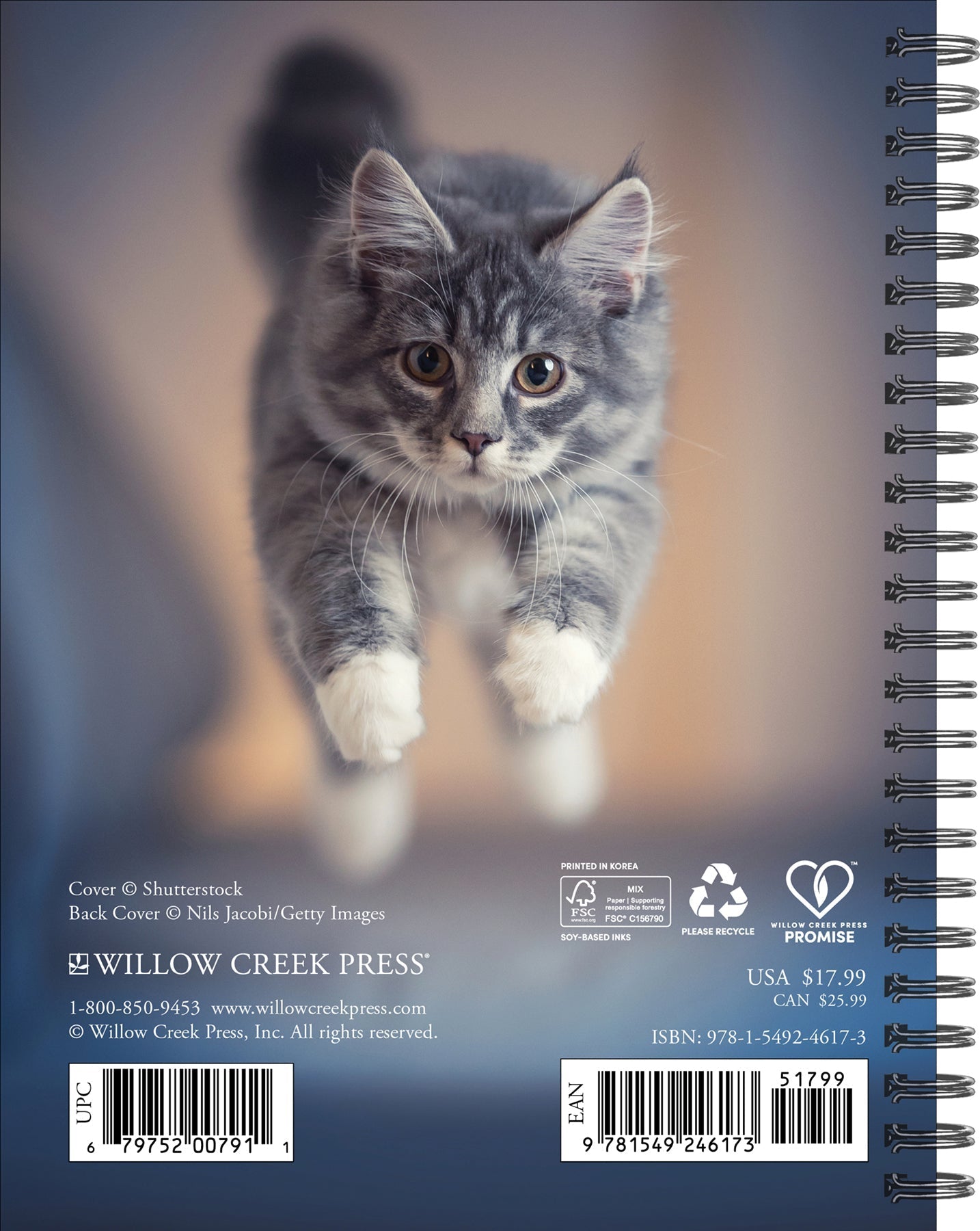 2025 What Cats Teach Us - Weekly Diary/Planner (US Only)