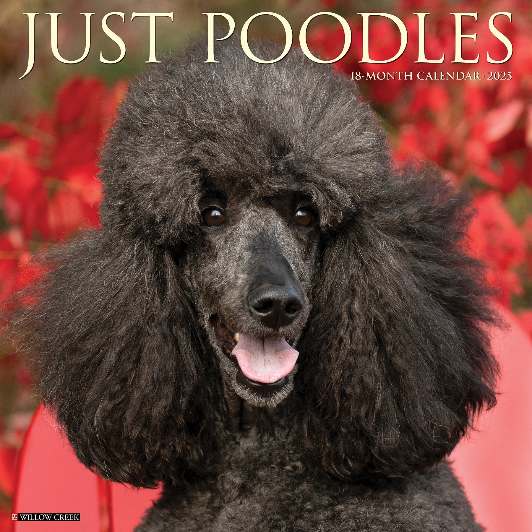 2025 Poodles - Square Wall Calendar (US Only)