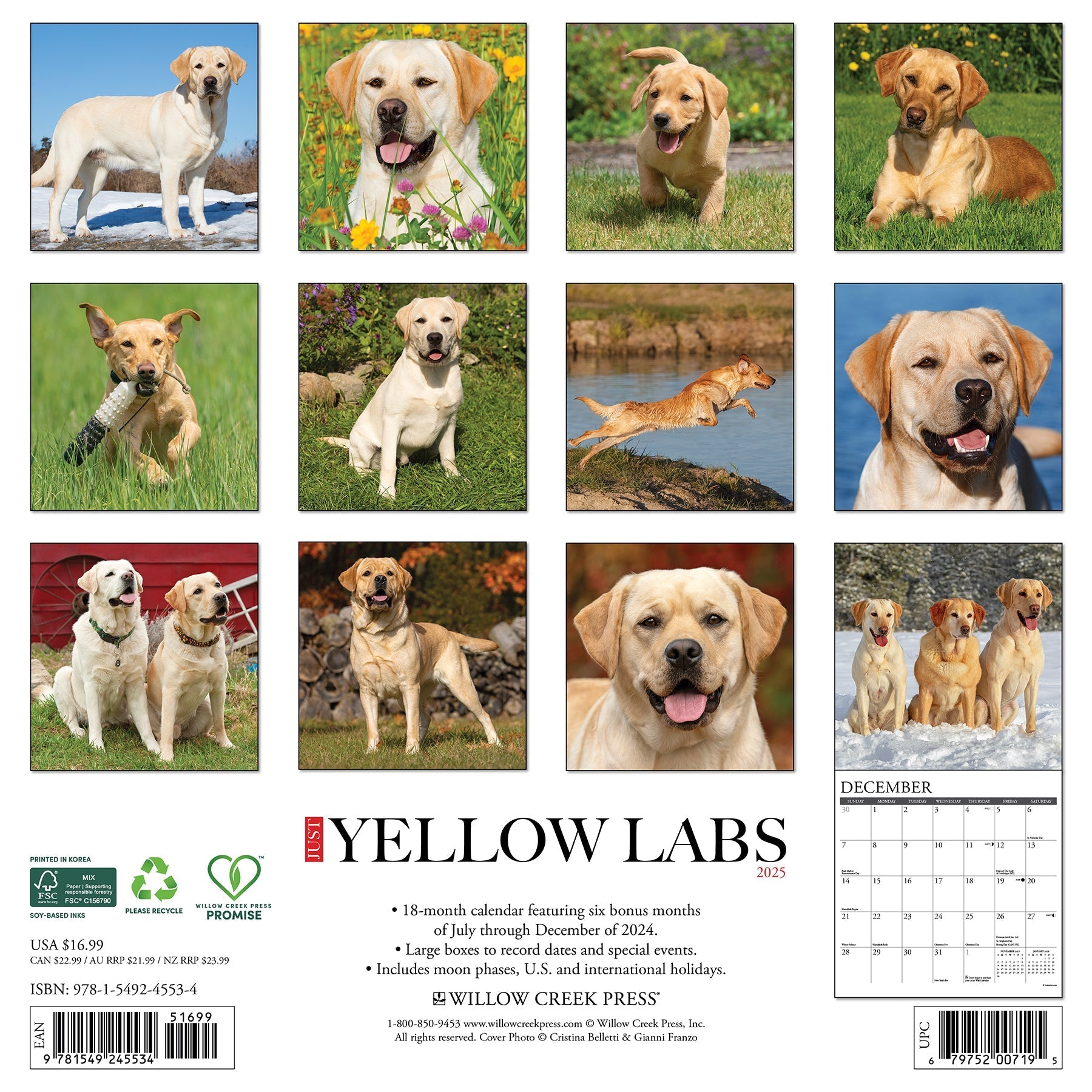 2025 Yellow Labs - Square Wall Calendar (US Only)