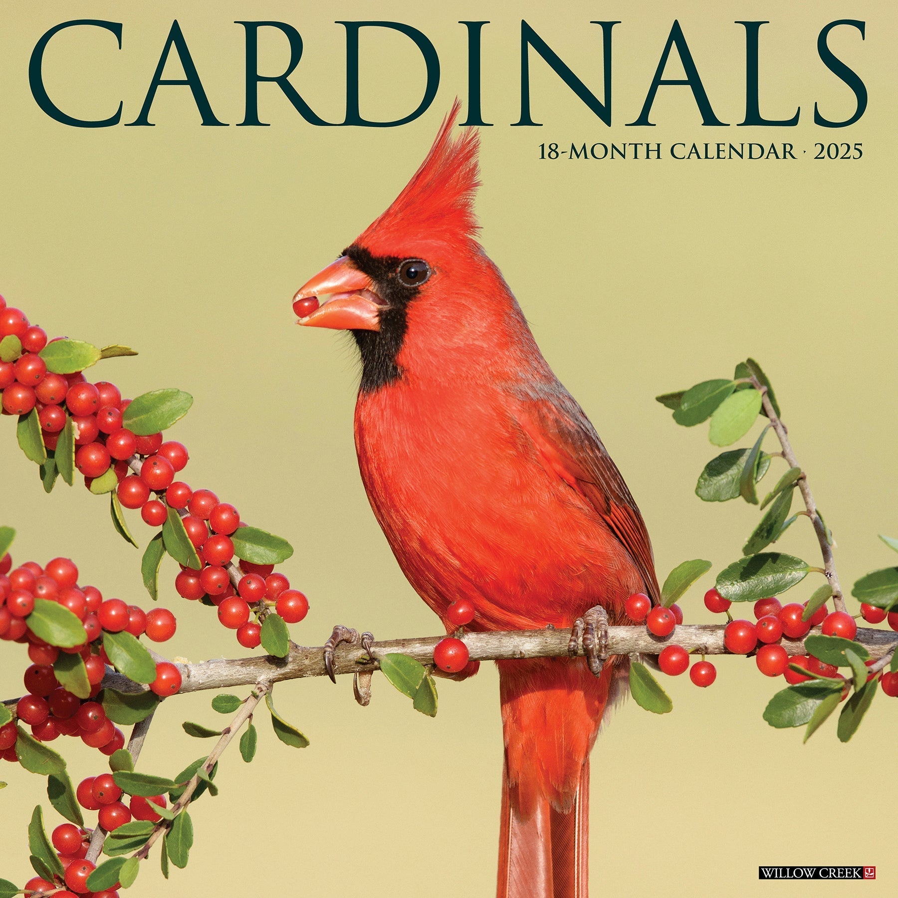 2025 Cardinals - Square Wall Calendar (US Only)