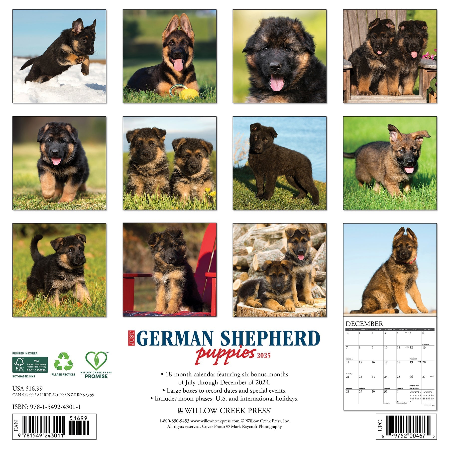 2025 German Shepherd Puppies - Square Wall Calendar (US Only)