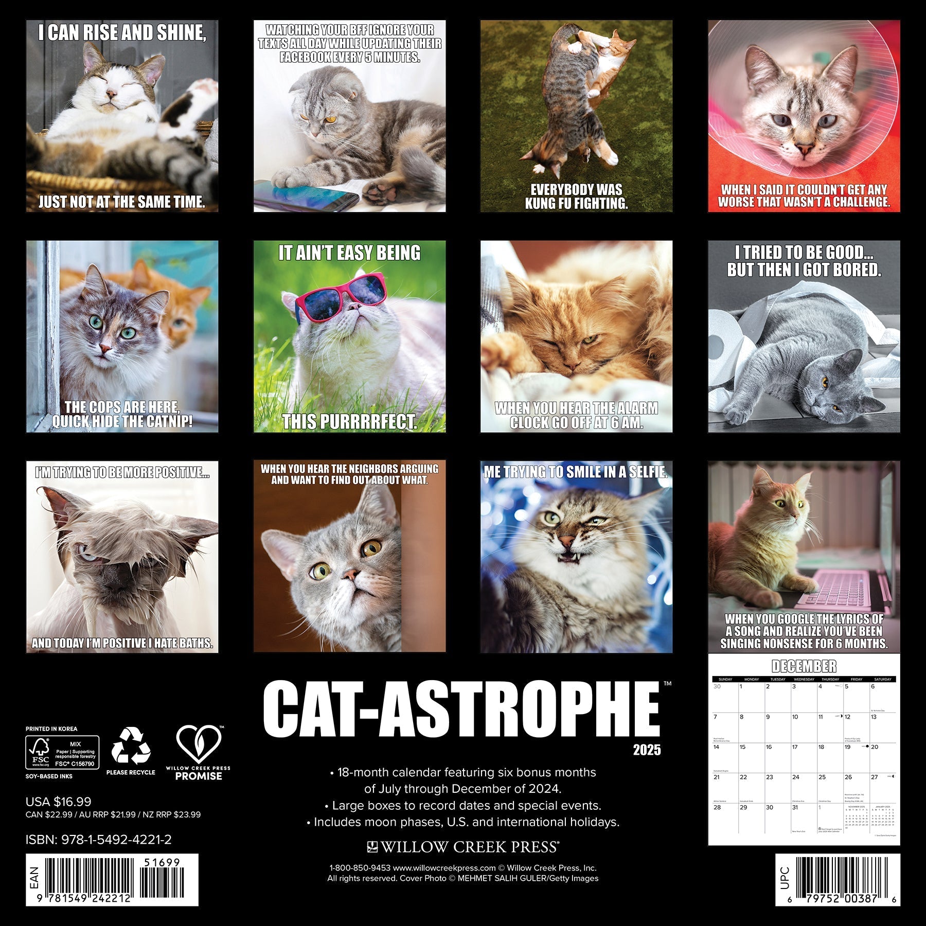 2025 Cat-astrophe - Square Wall Calendar (US Only)