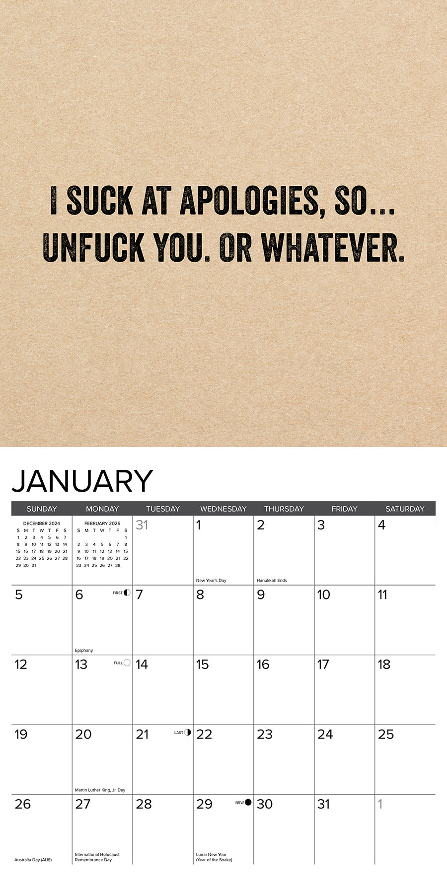 2025 F*CK IT - Square Wall Calendar (US Only)