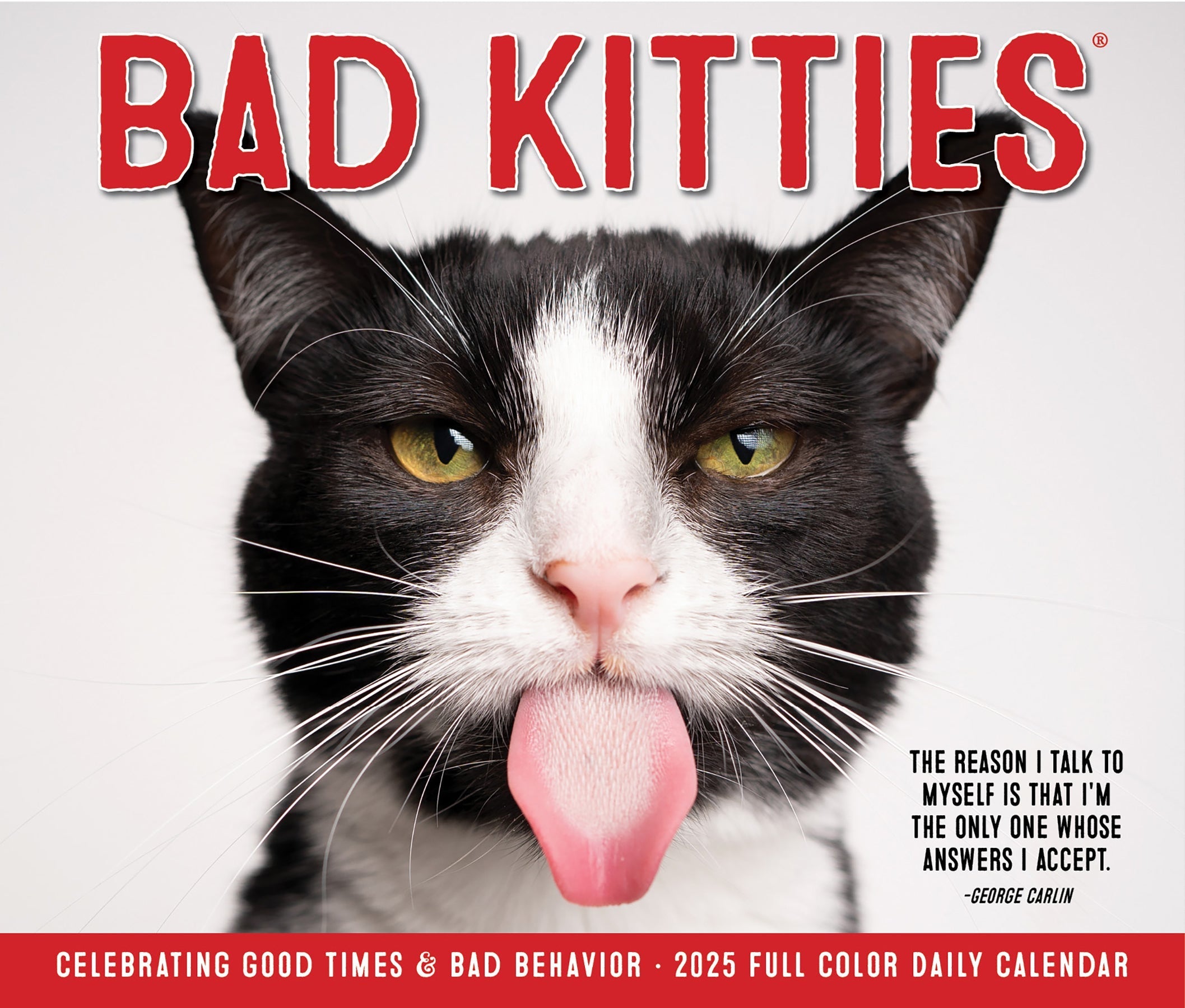 2025 Bad Kitties - Daily Boxed Page-A-Day Calendar (US Only)