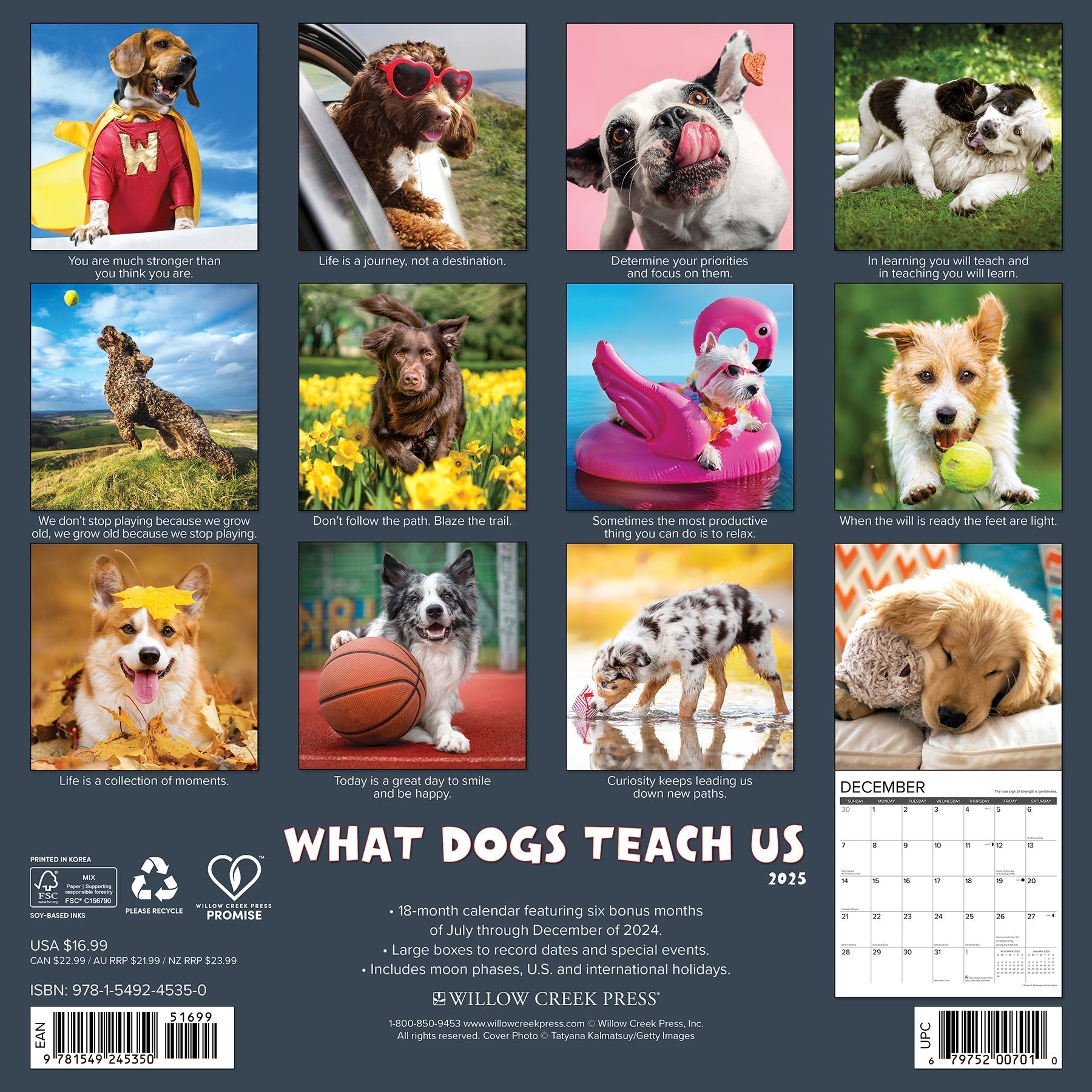 2025 What Dogs Teach Us - Square Wall Calendar (US Only)