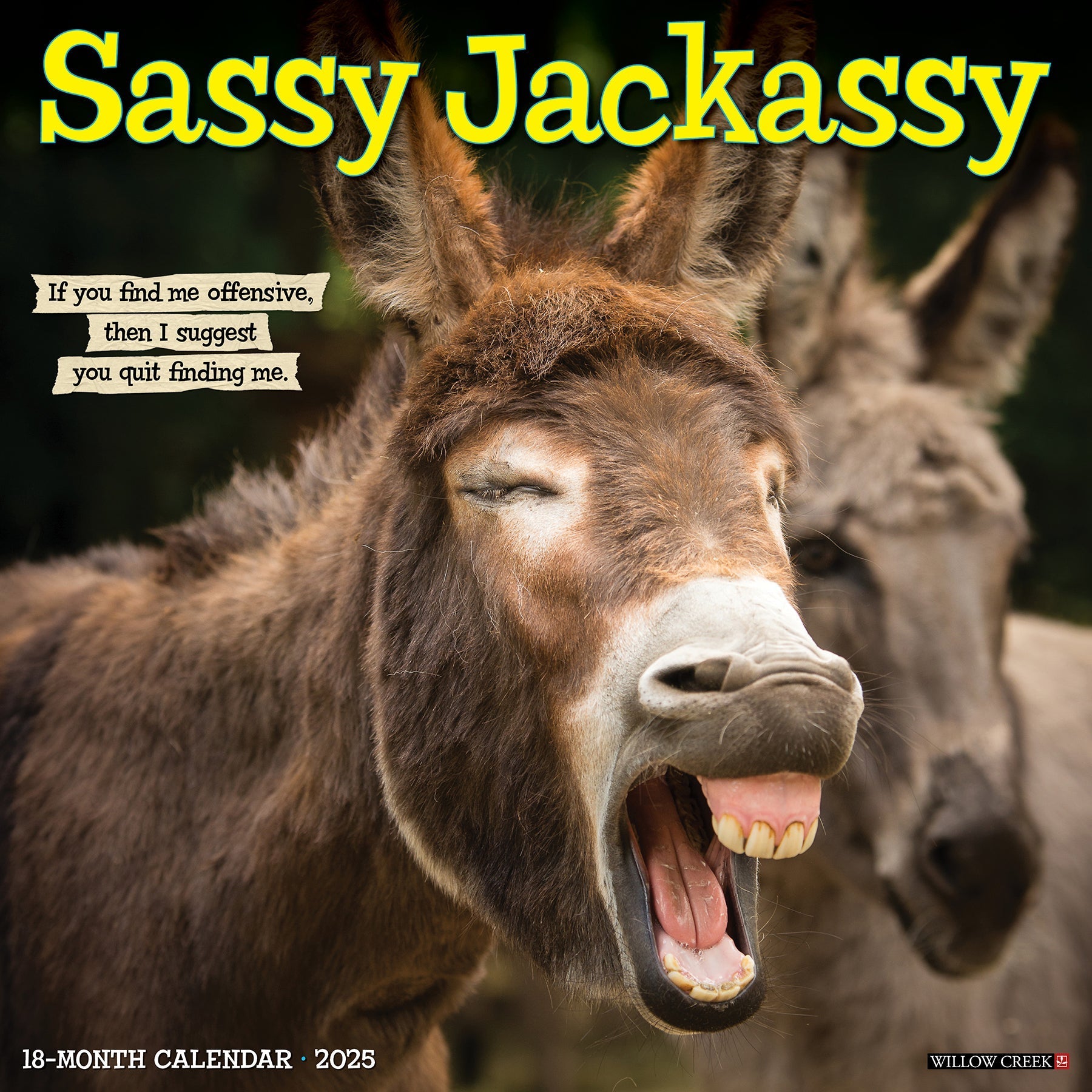 2025 Sassy Jackassy - Square Wall Calendar (US Only)