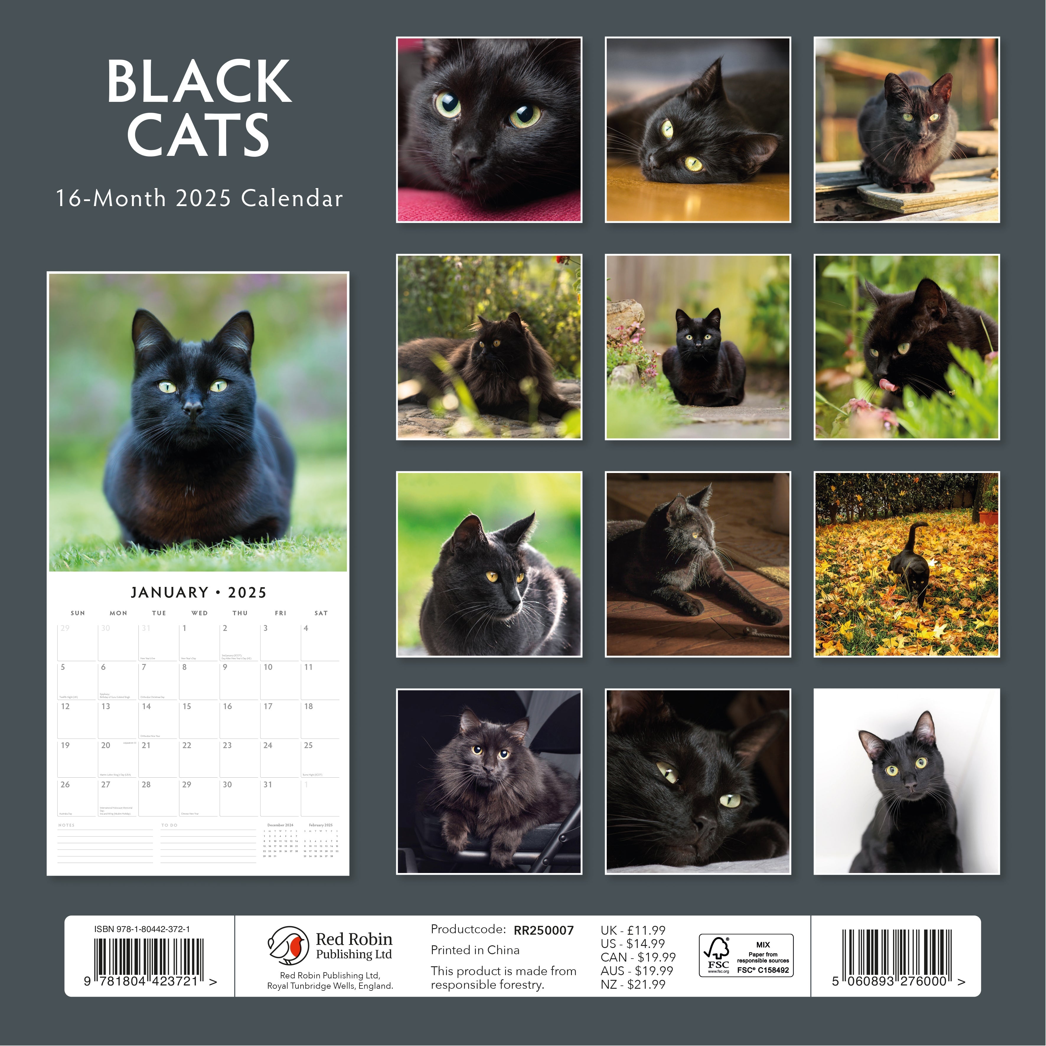 2025 Black Cats - Square Wall Calendar