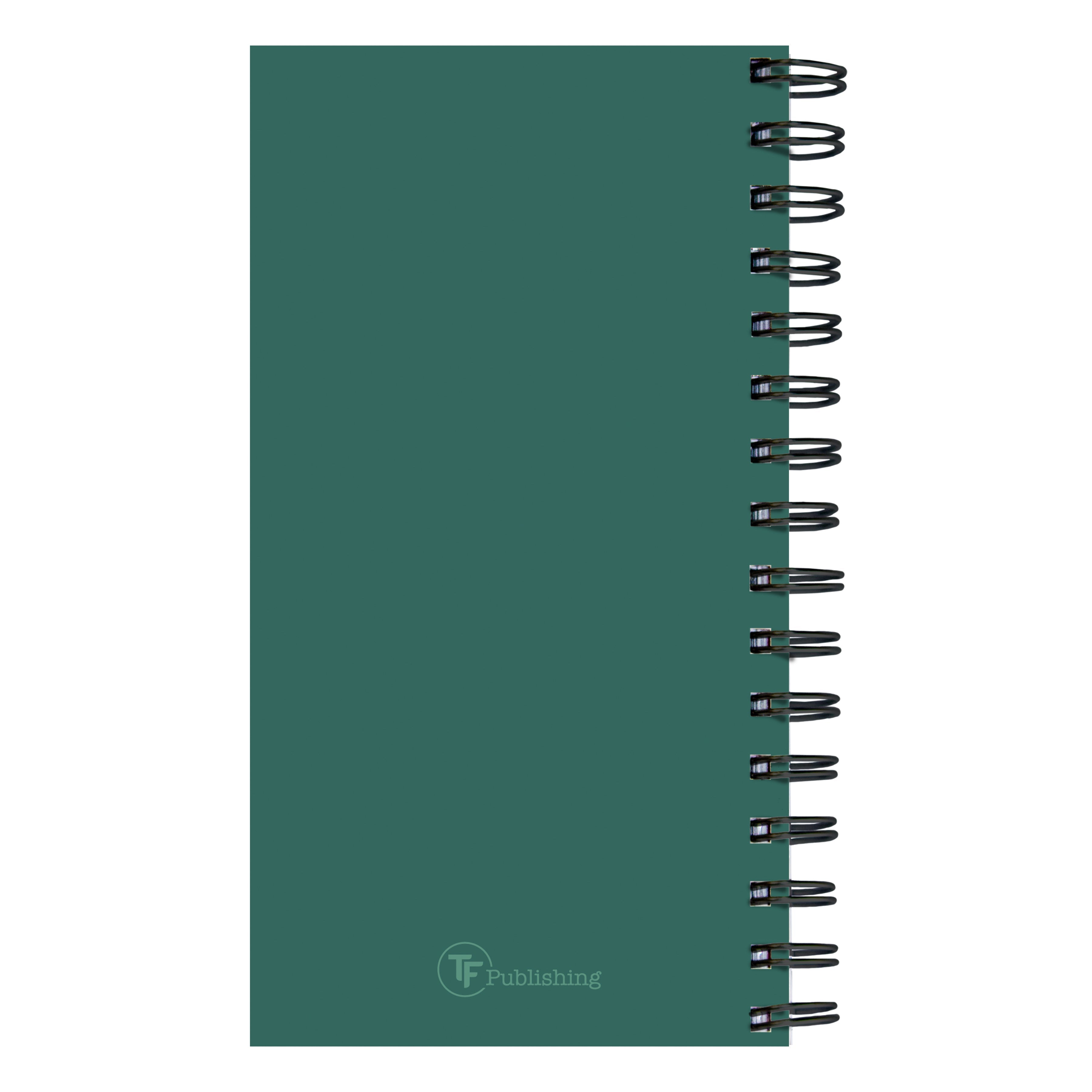 July 2024 - June 2025 Sea Green Small Weekly & Monthly Academic Year Diary/Planner  SOLD OUT