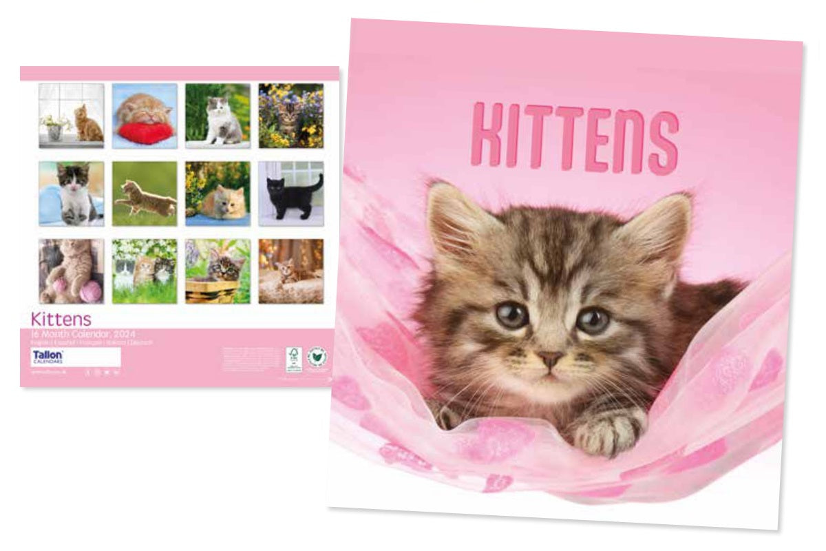 2024 Kittens - Square Wall Calendar  SOLD OUT