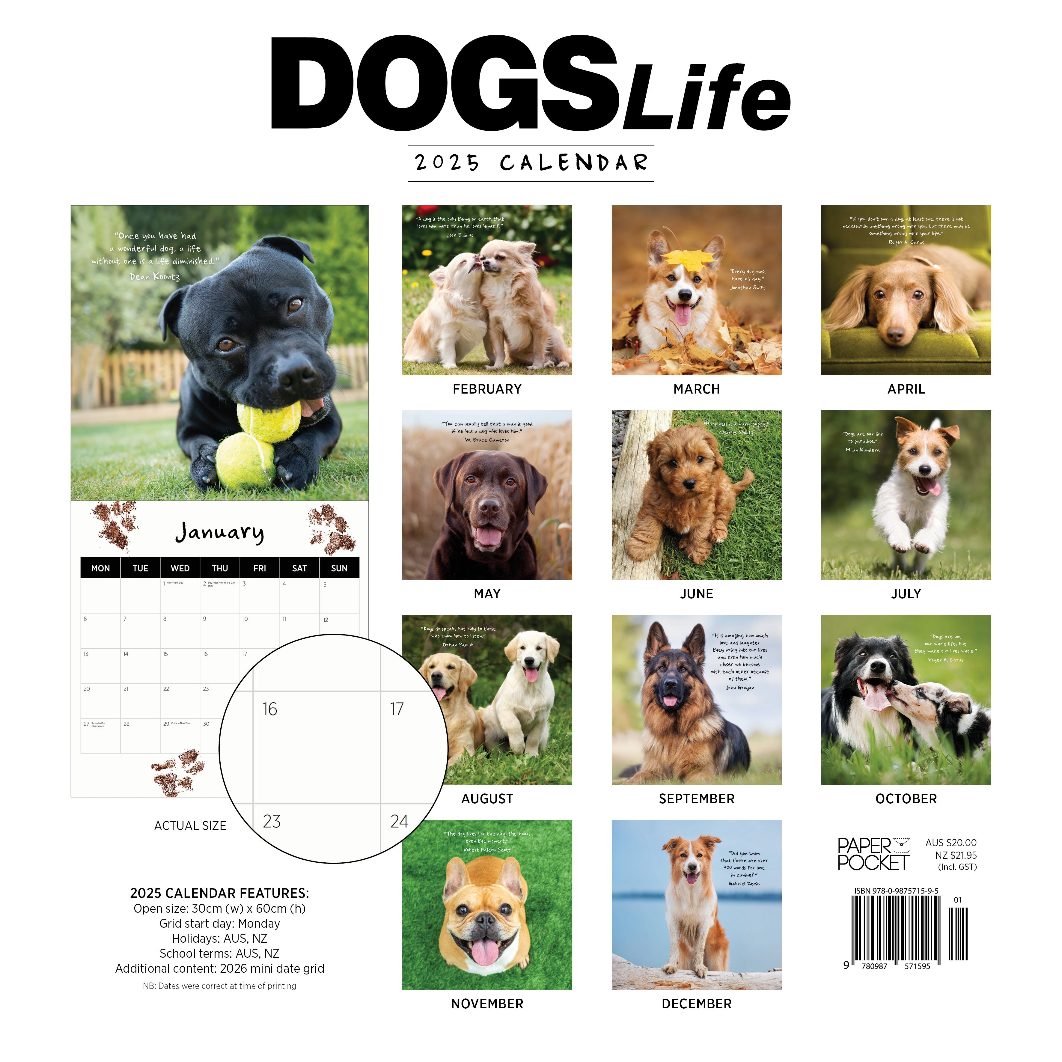 2025 Dogs Life - Square Wall Calendar