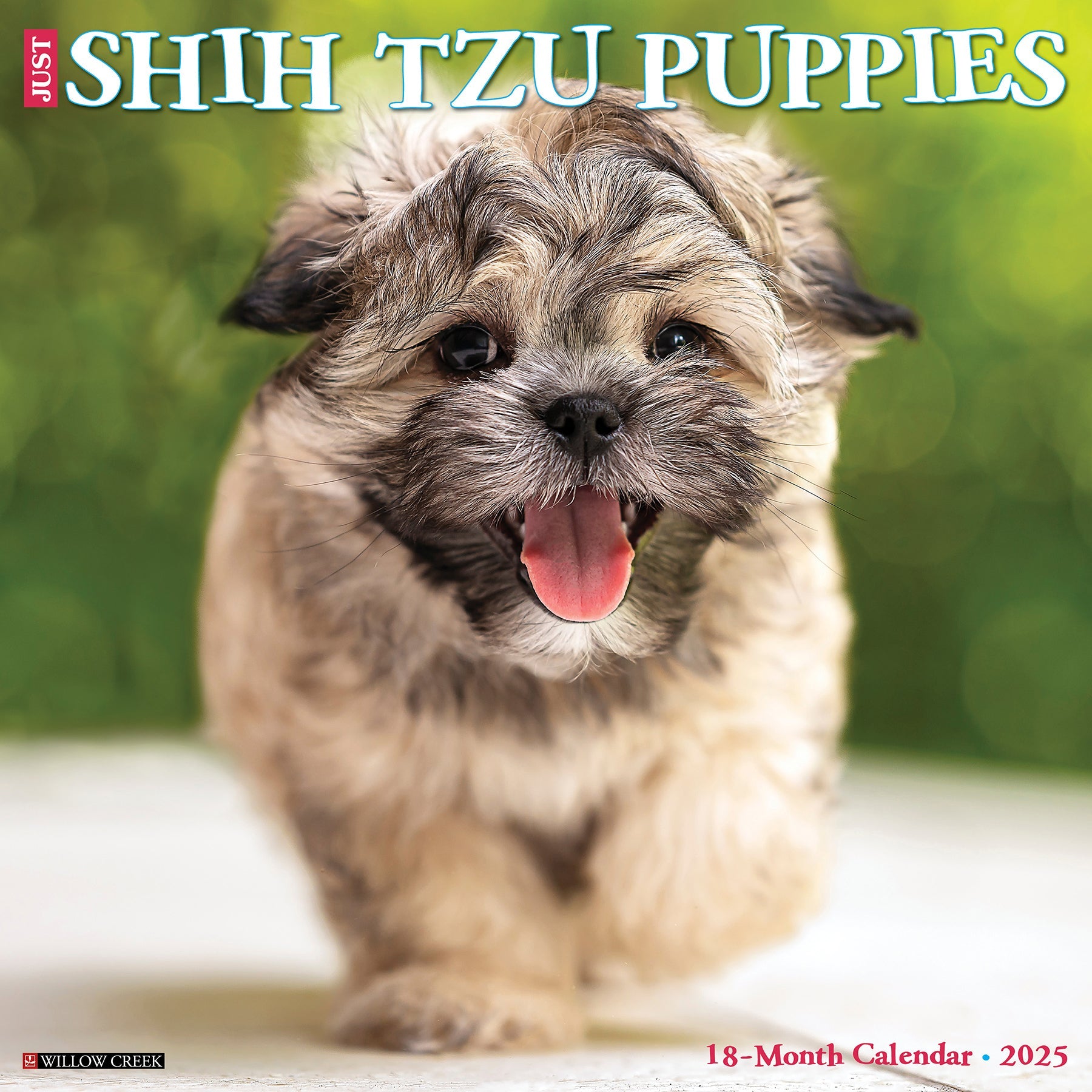 2025 Shih Tzu Puppies - Square Wall Calendar (US Only)