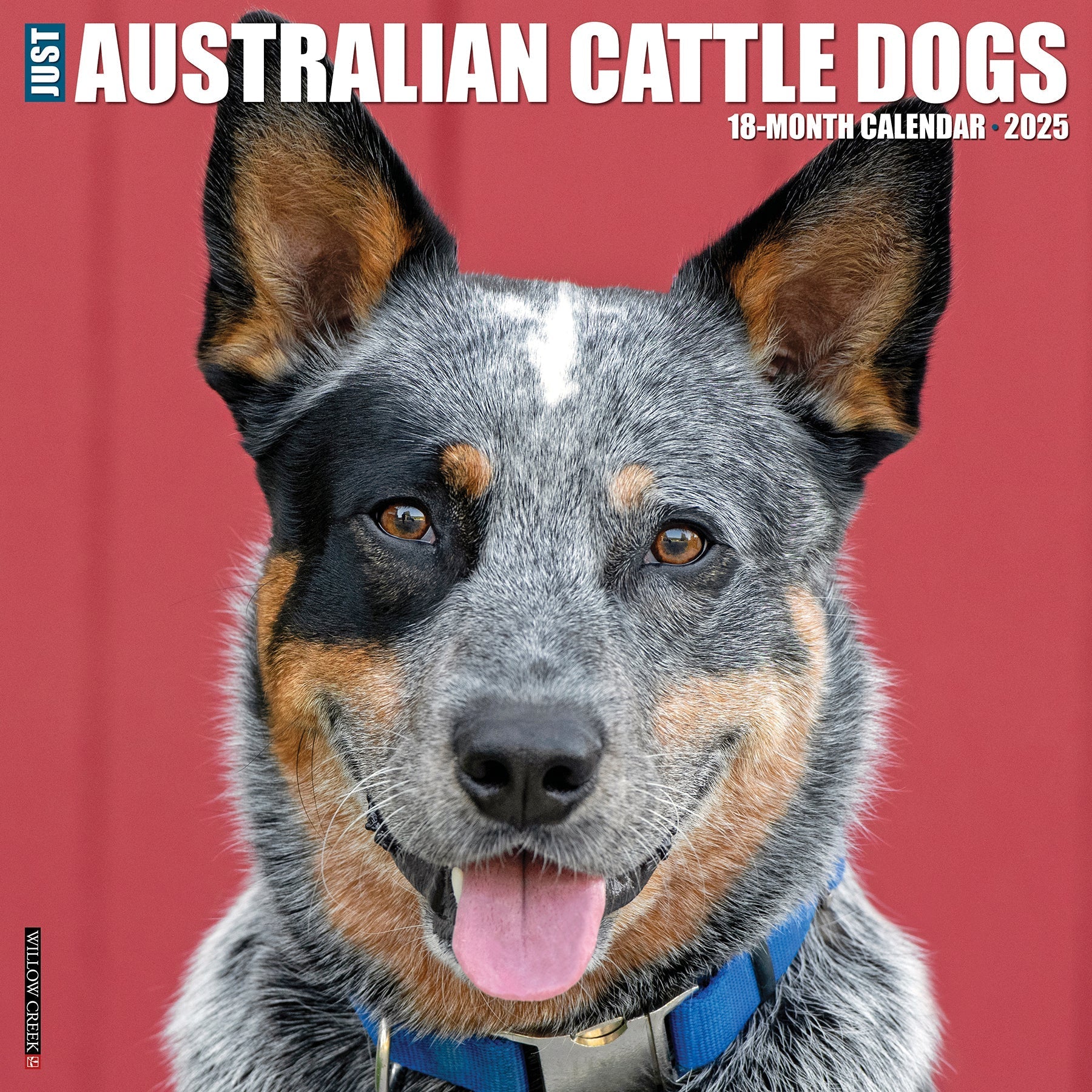 2025 Australian Cattle Dogs - Square Wall Calendar (US Only)